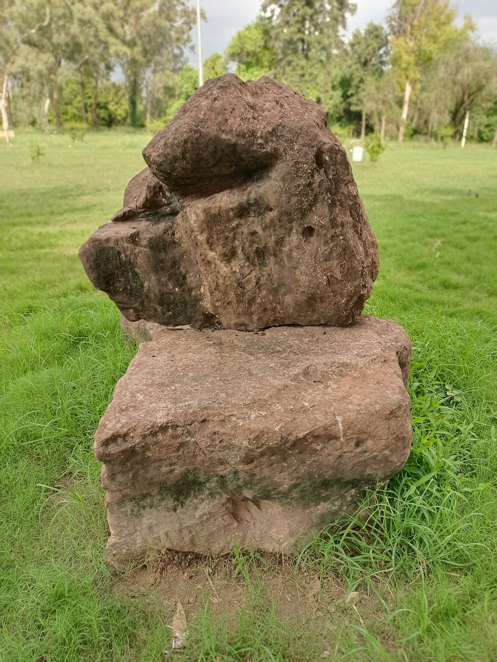 a rock on the grass