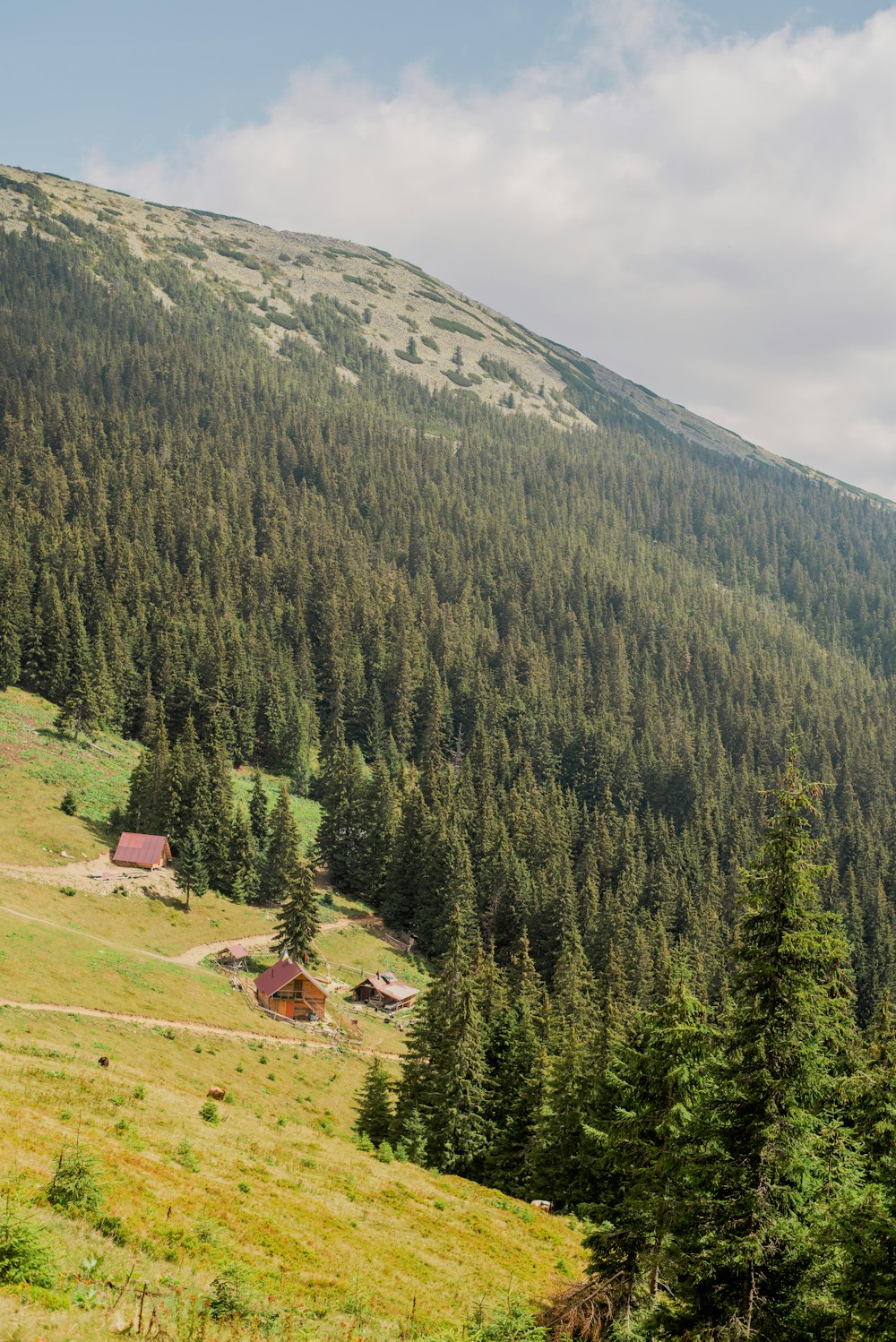 a house on a hill