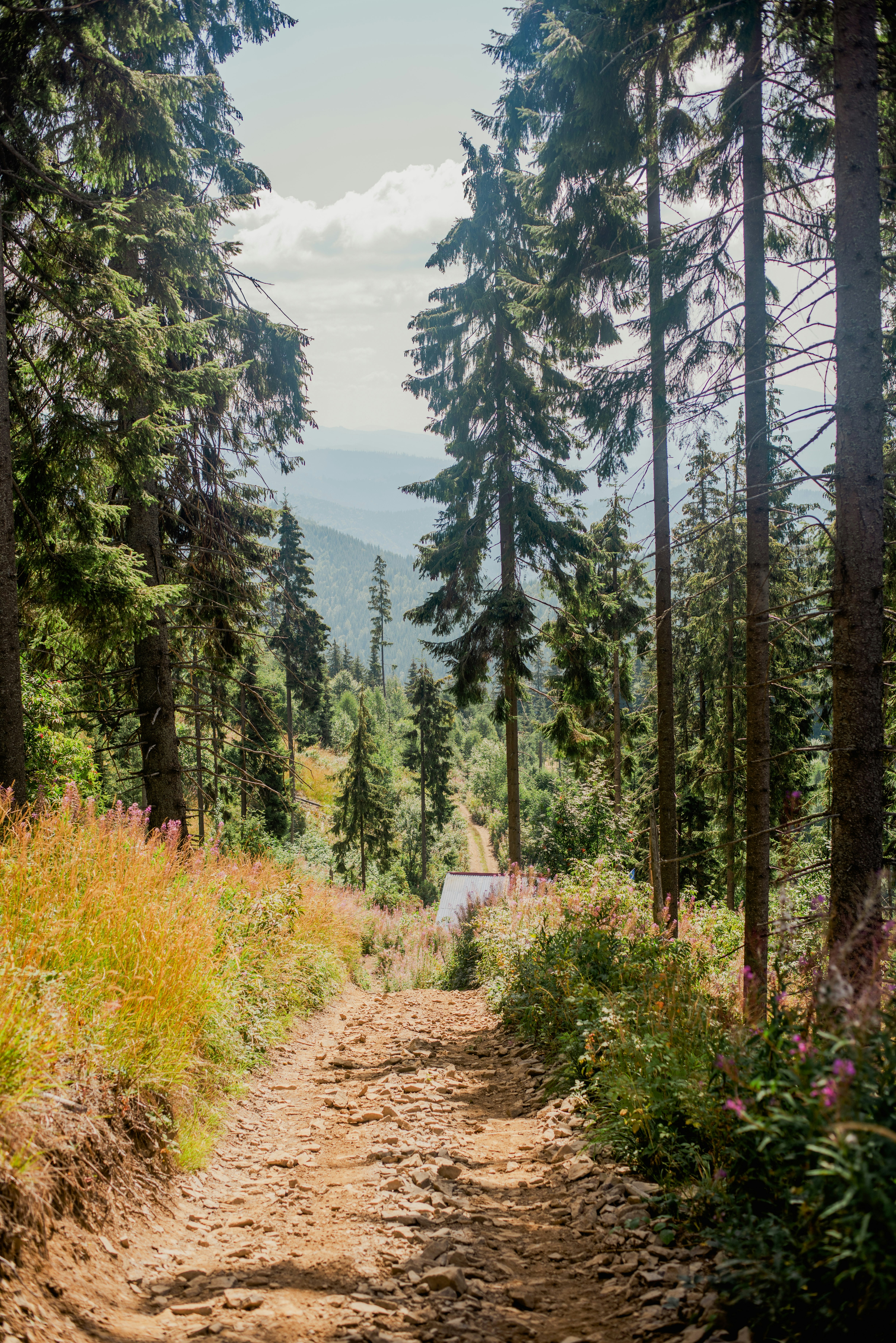 Photo by eugenivy_now