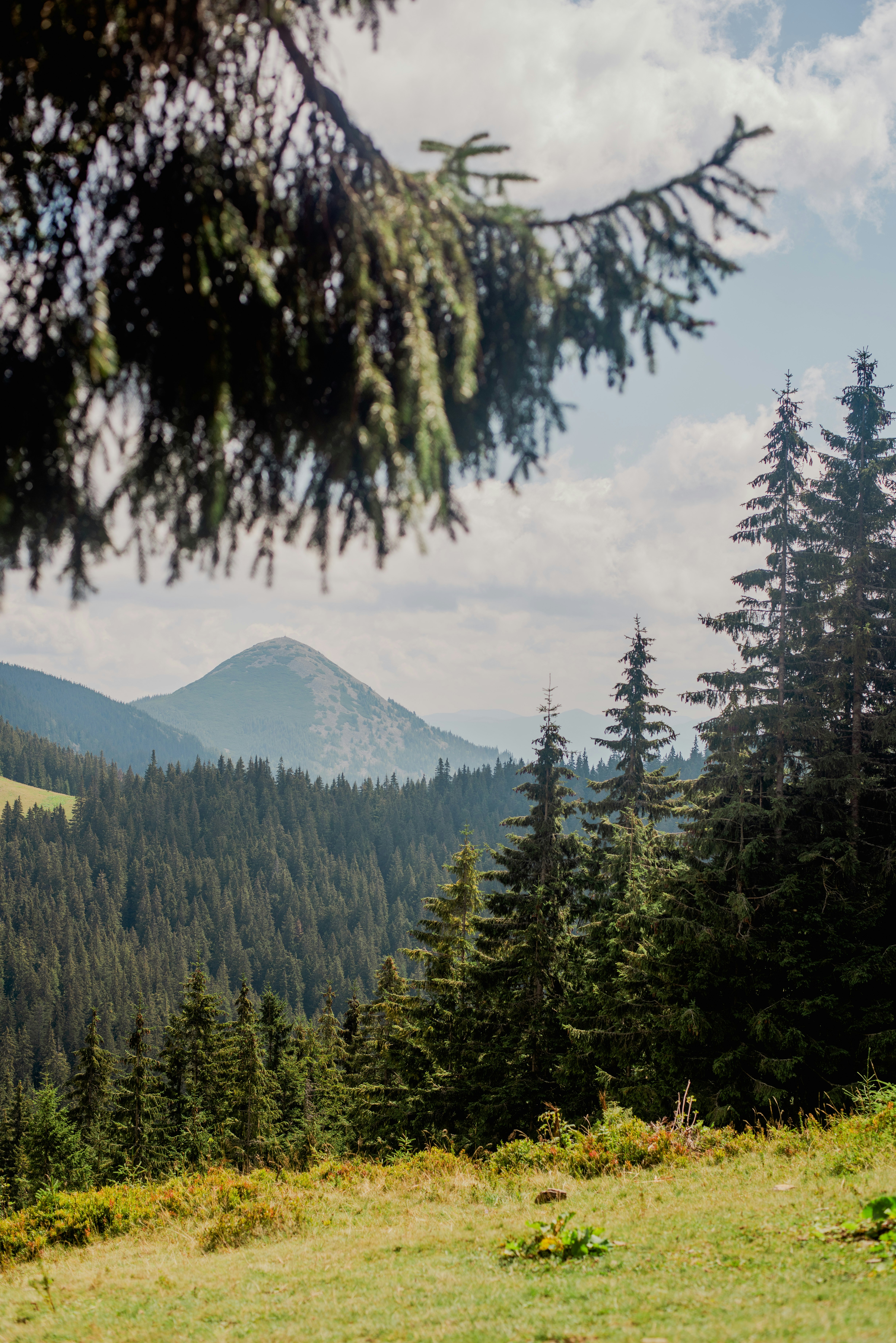 Photo by eugenivy_now