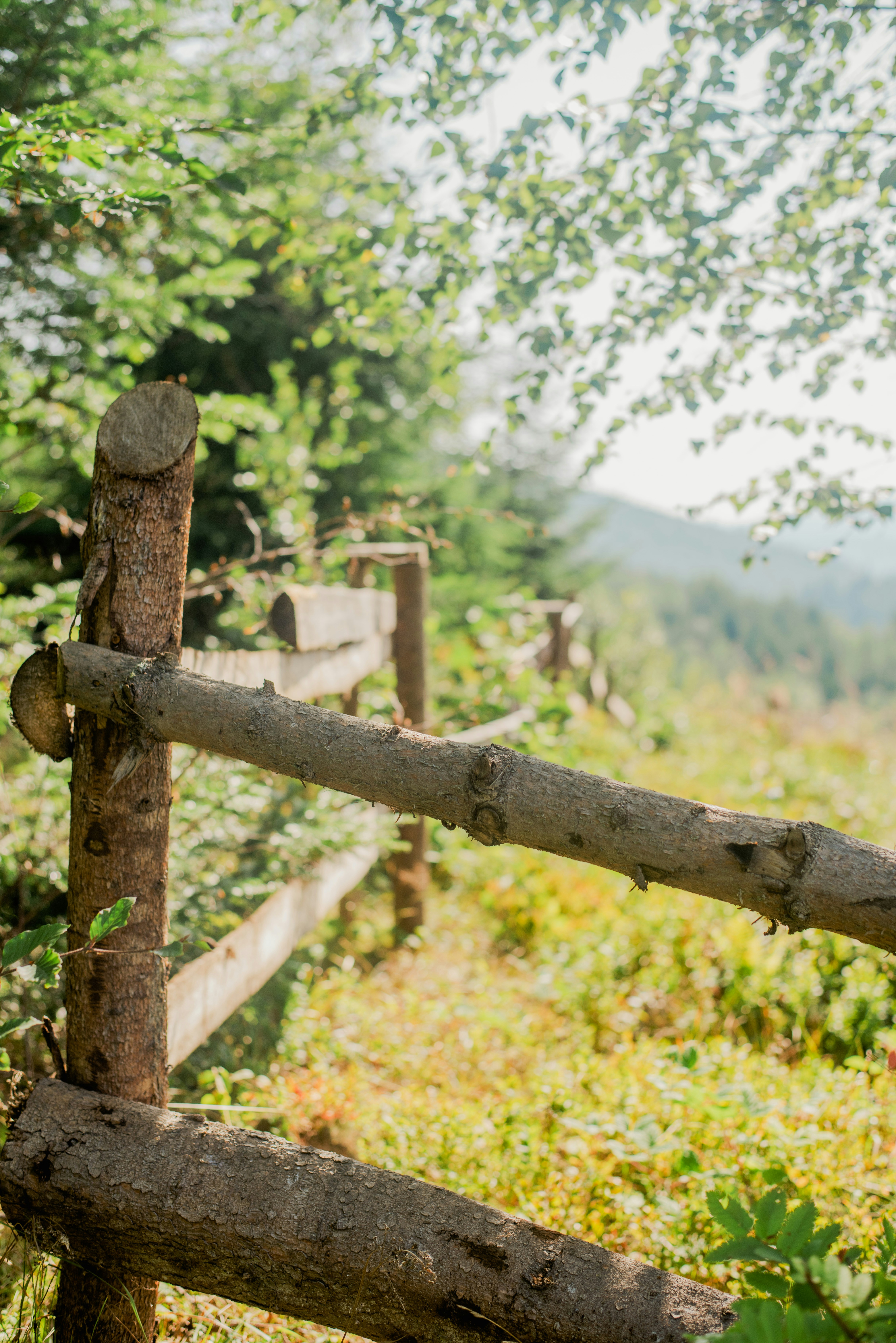 Photo by eugenivy_now