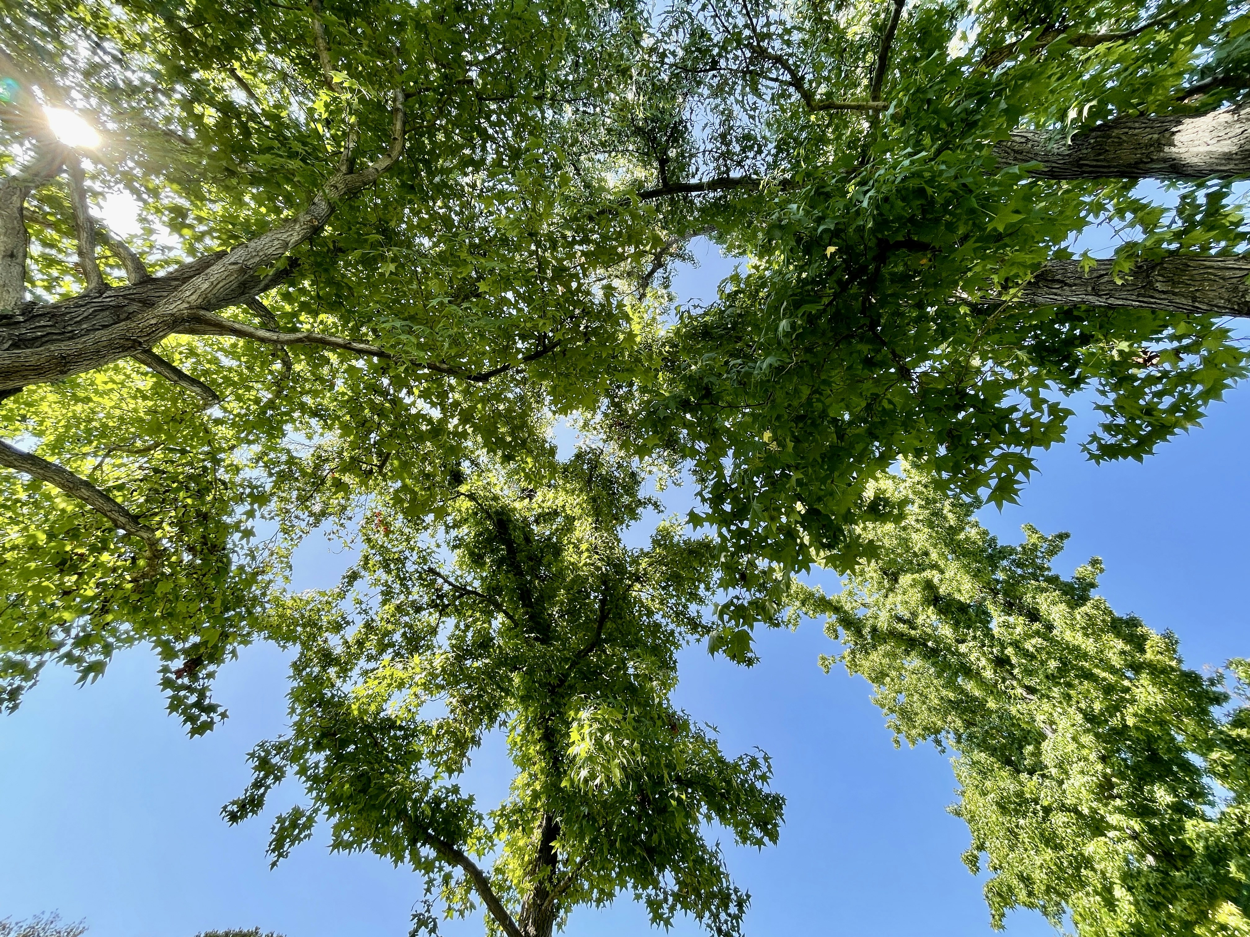 Photo by parsianbeauty