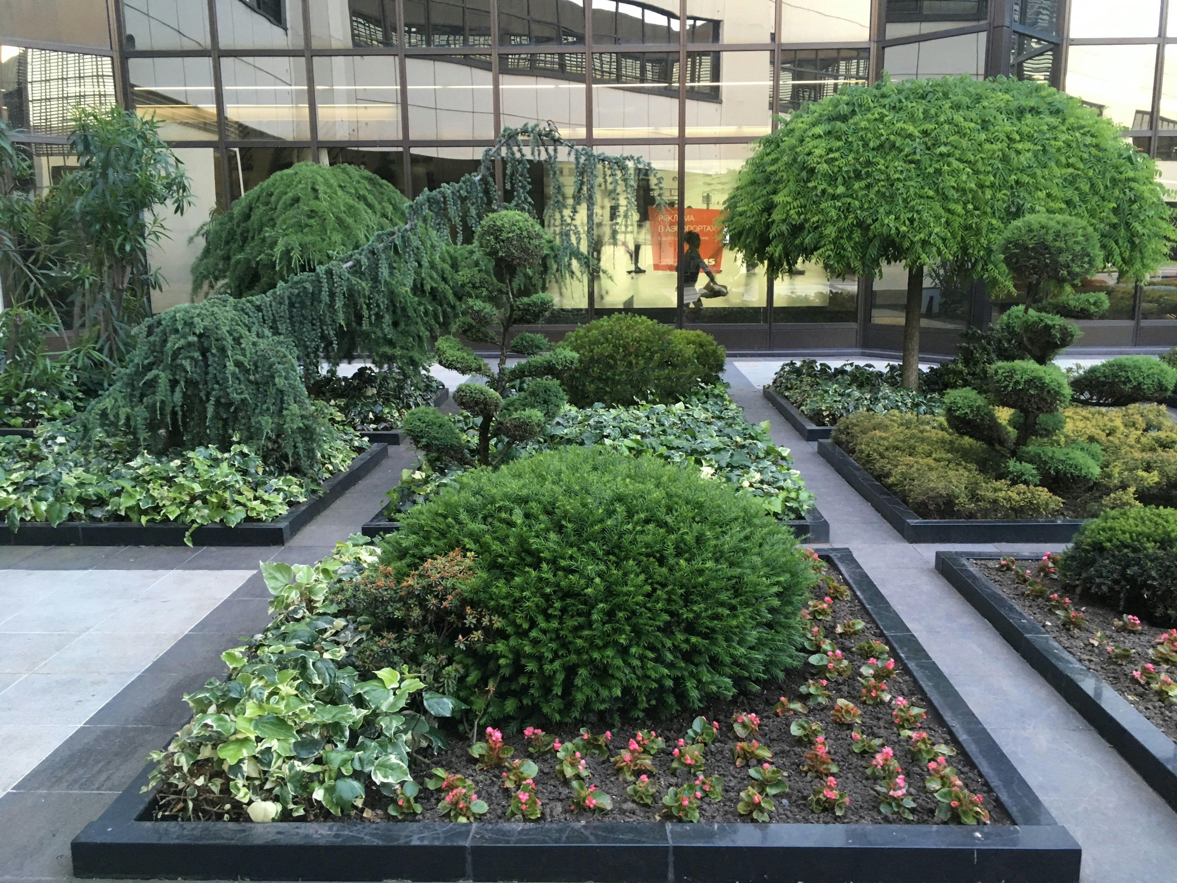 Beautiful garden landscaping with green lawn and flowering plants, bright outdoor garden