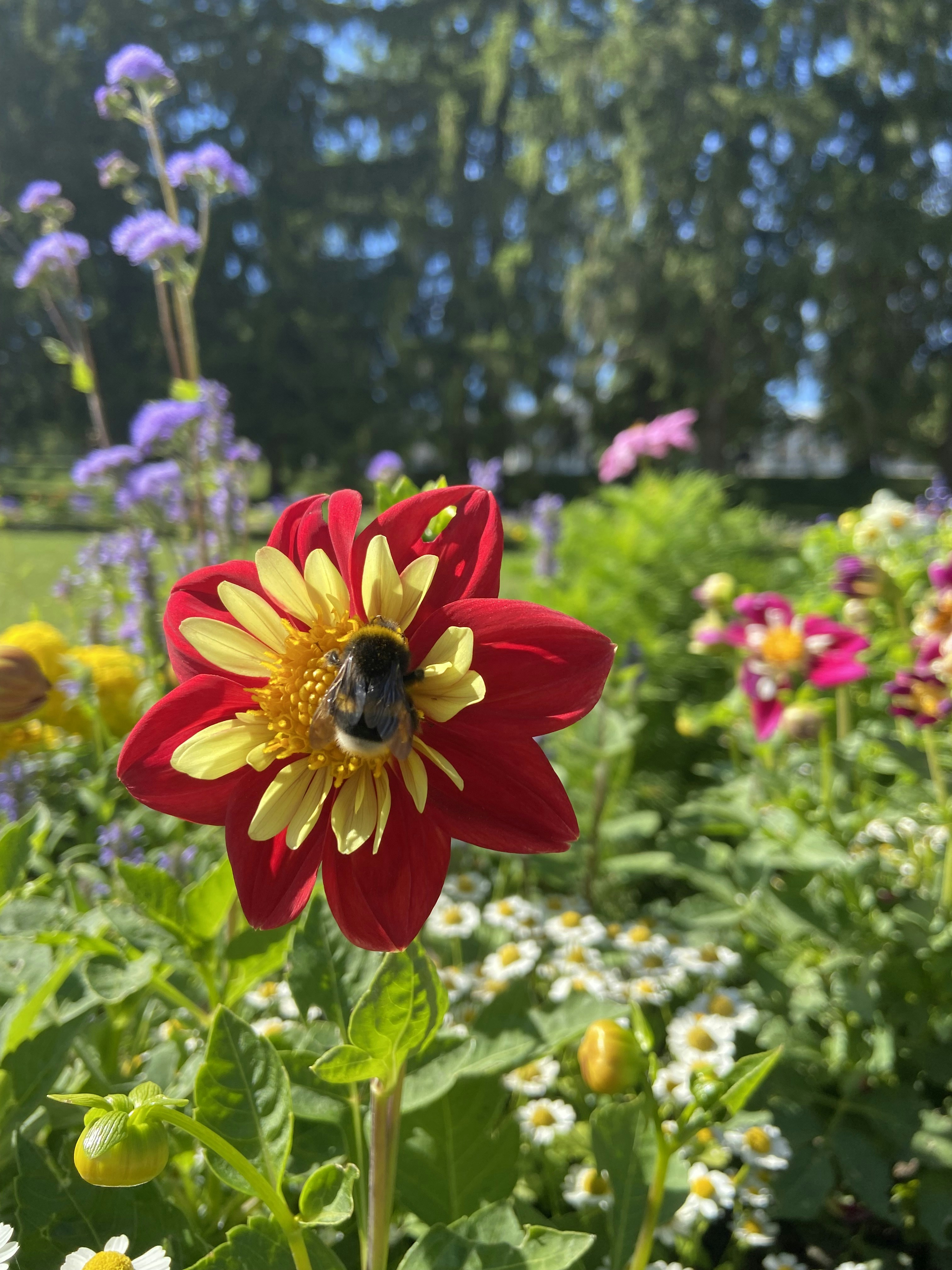 Photo by lemonsqueezys