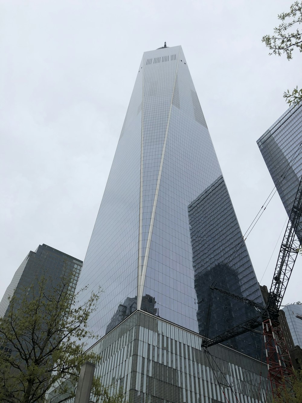 a tall building with a tree in front of it