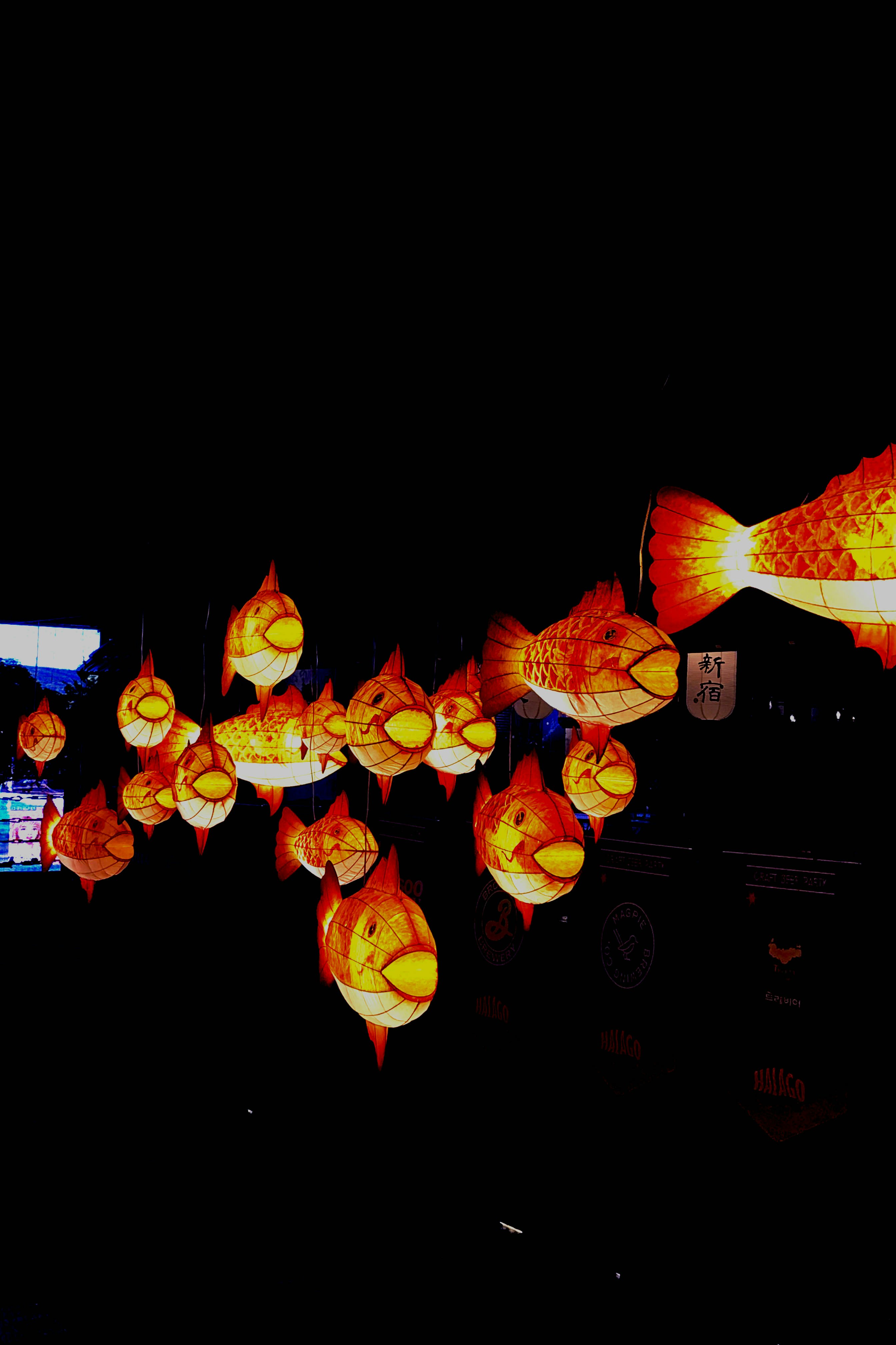 a group of lanterns from a string