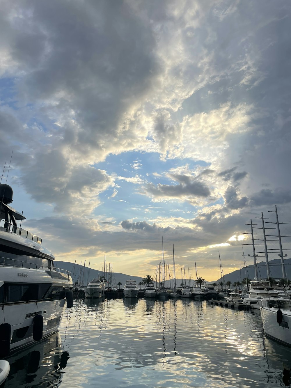 a marina full of boats