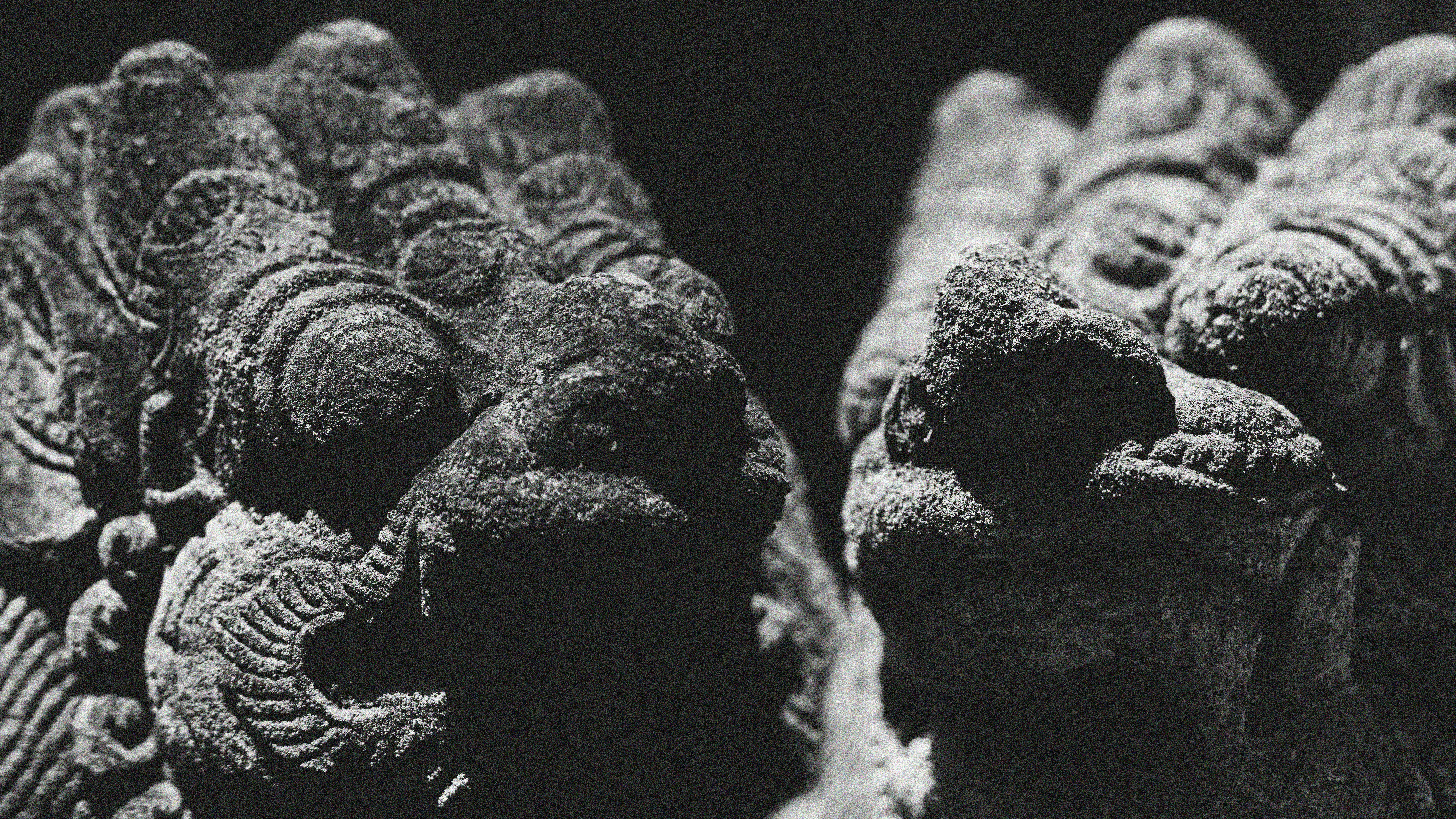 Photo by gitakarisma