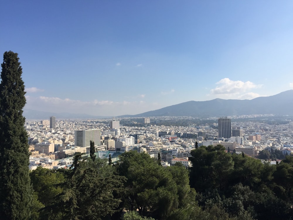 a city with trees and mountains in the background