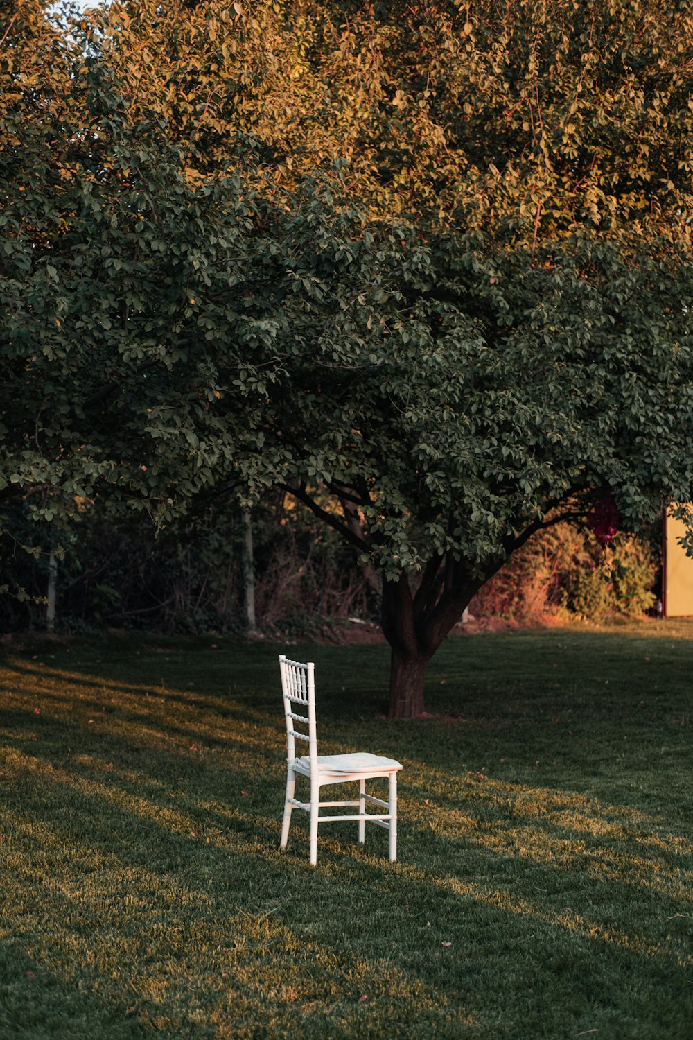 a chair in a grassy area with trees in the back