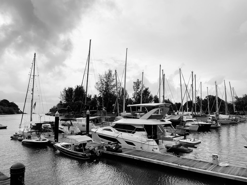 a group of boats sit in a harbor