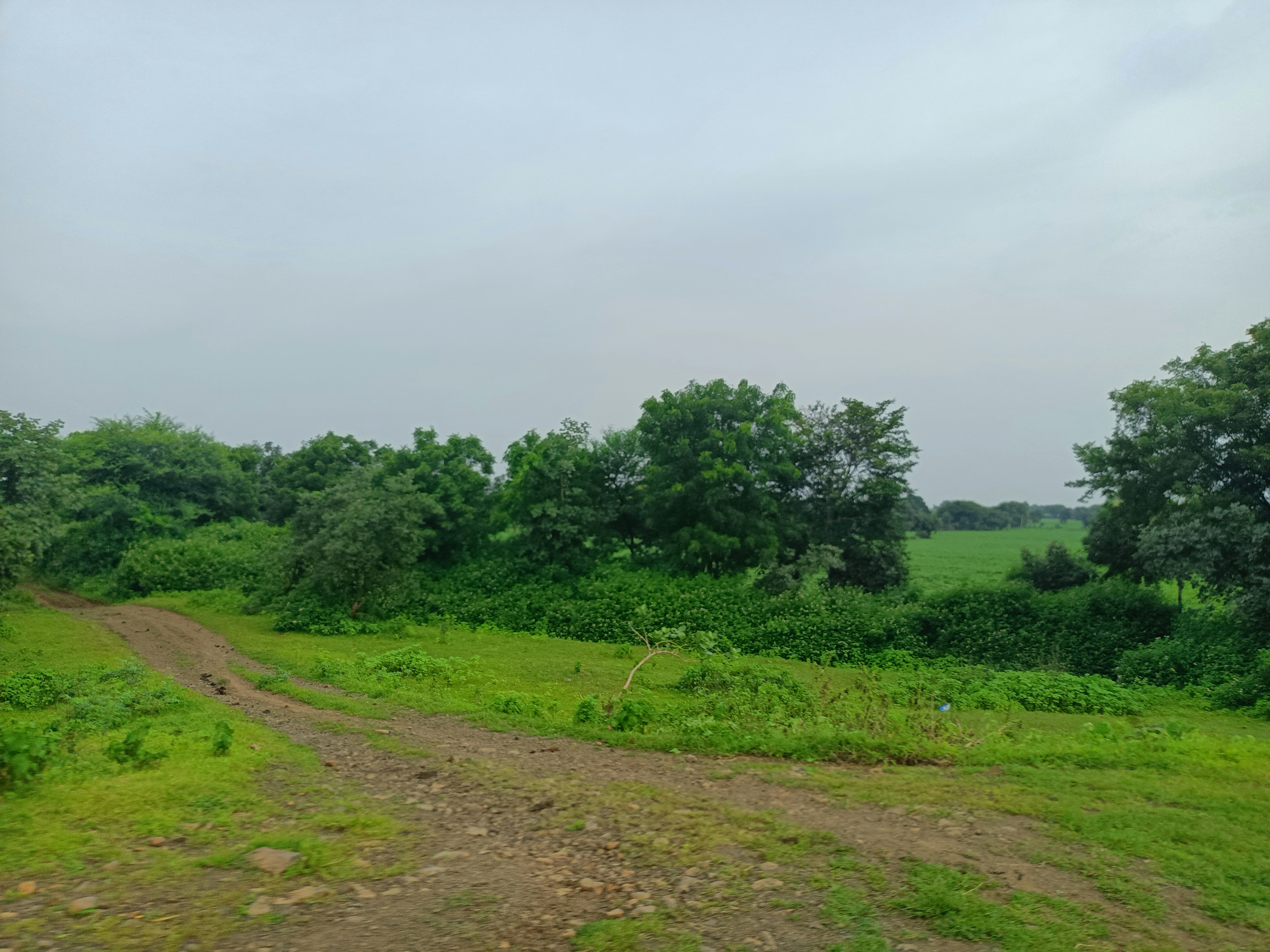 Photo by sanjeevgehlot