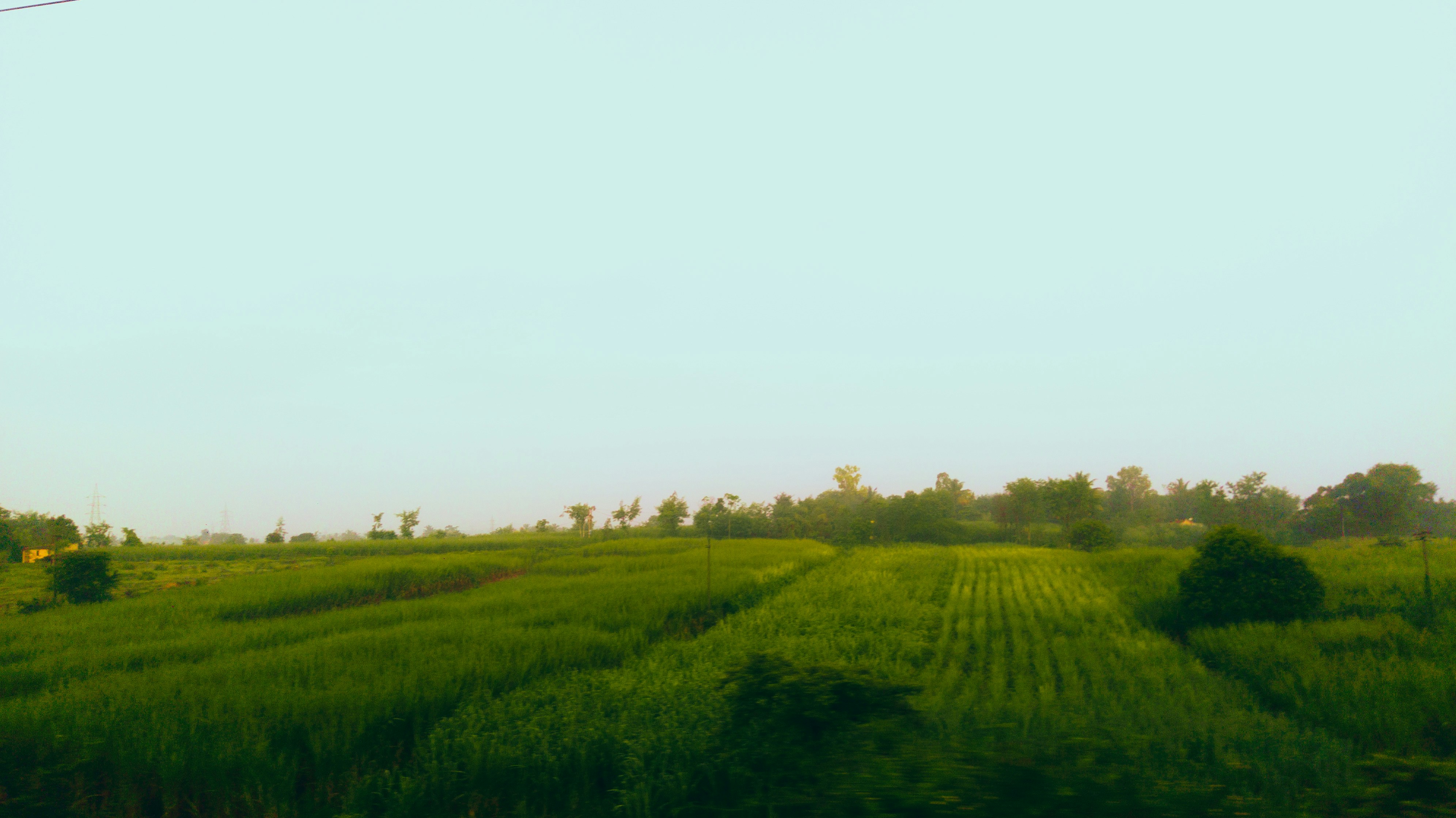 Parfum Alam Zylnature