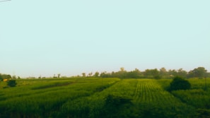 A serene landscape symbolizing hope and resilience in humanity.