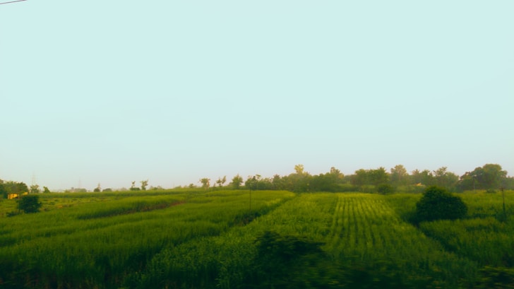 A serene landscape depicting a lush green earth with a clear blue sky, symbolizing humanity's connection to nature.