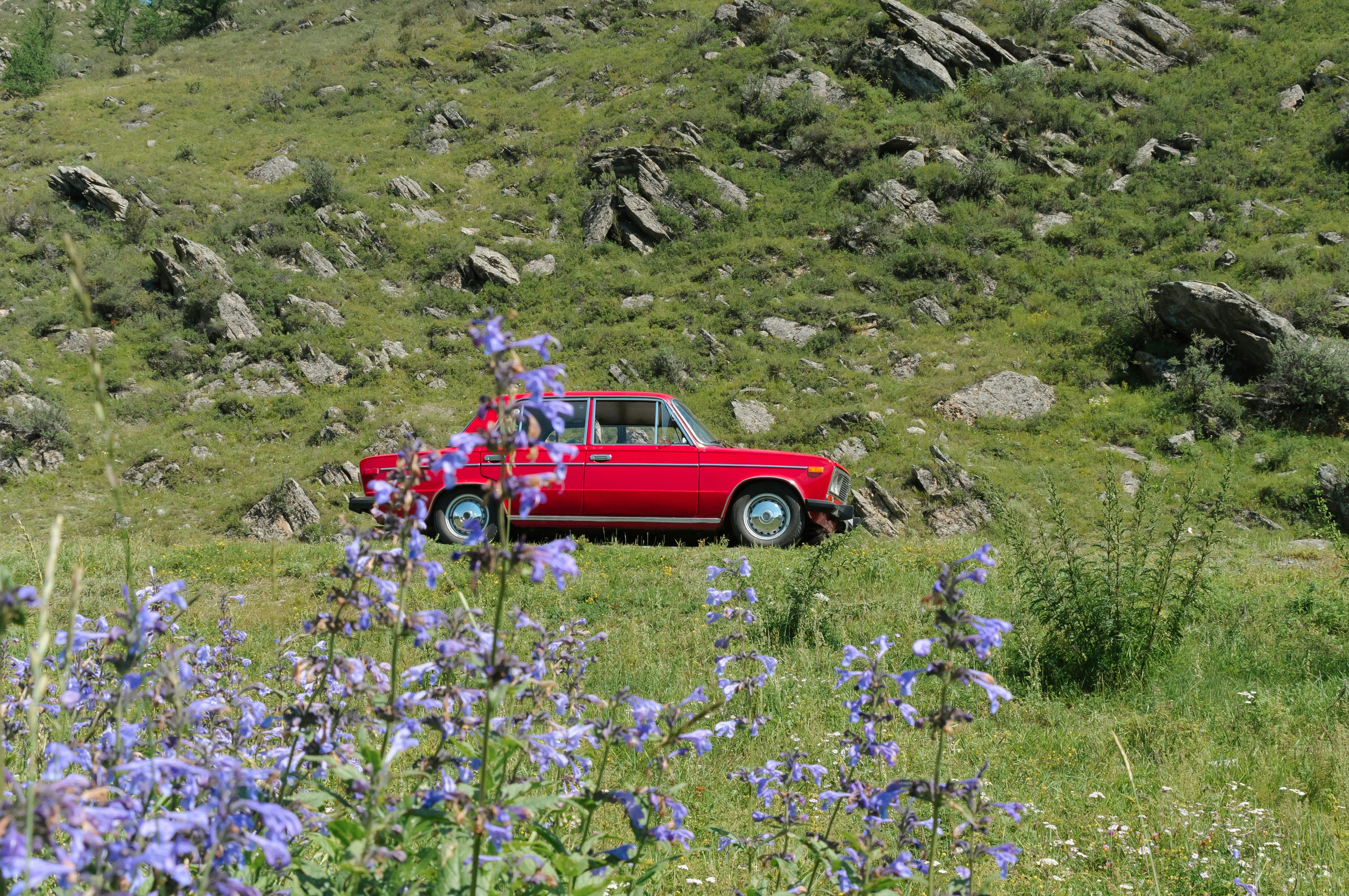 a red car parked in a grassy field