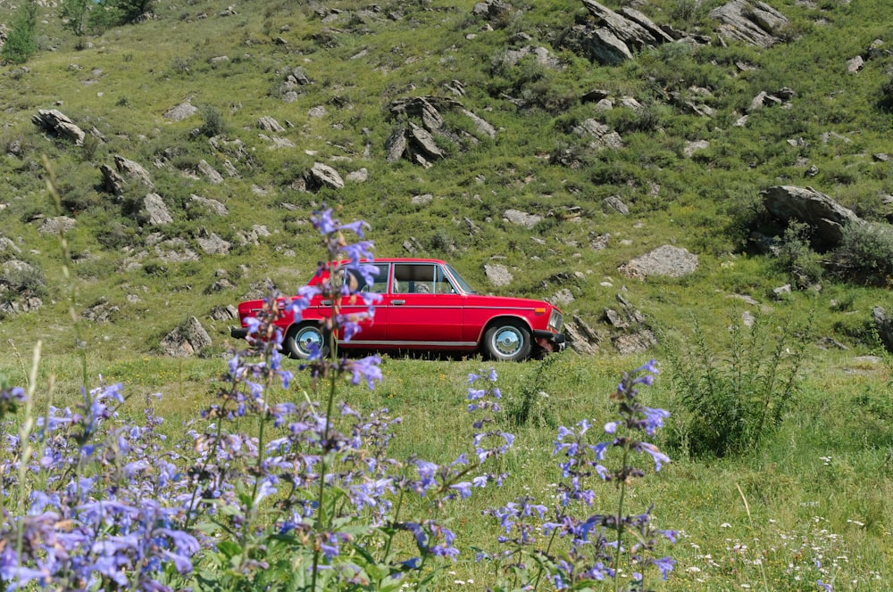 a red car parked in a grassy field