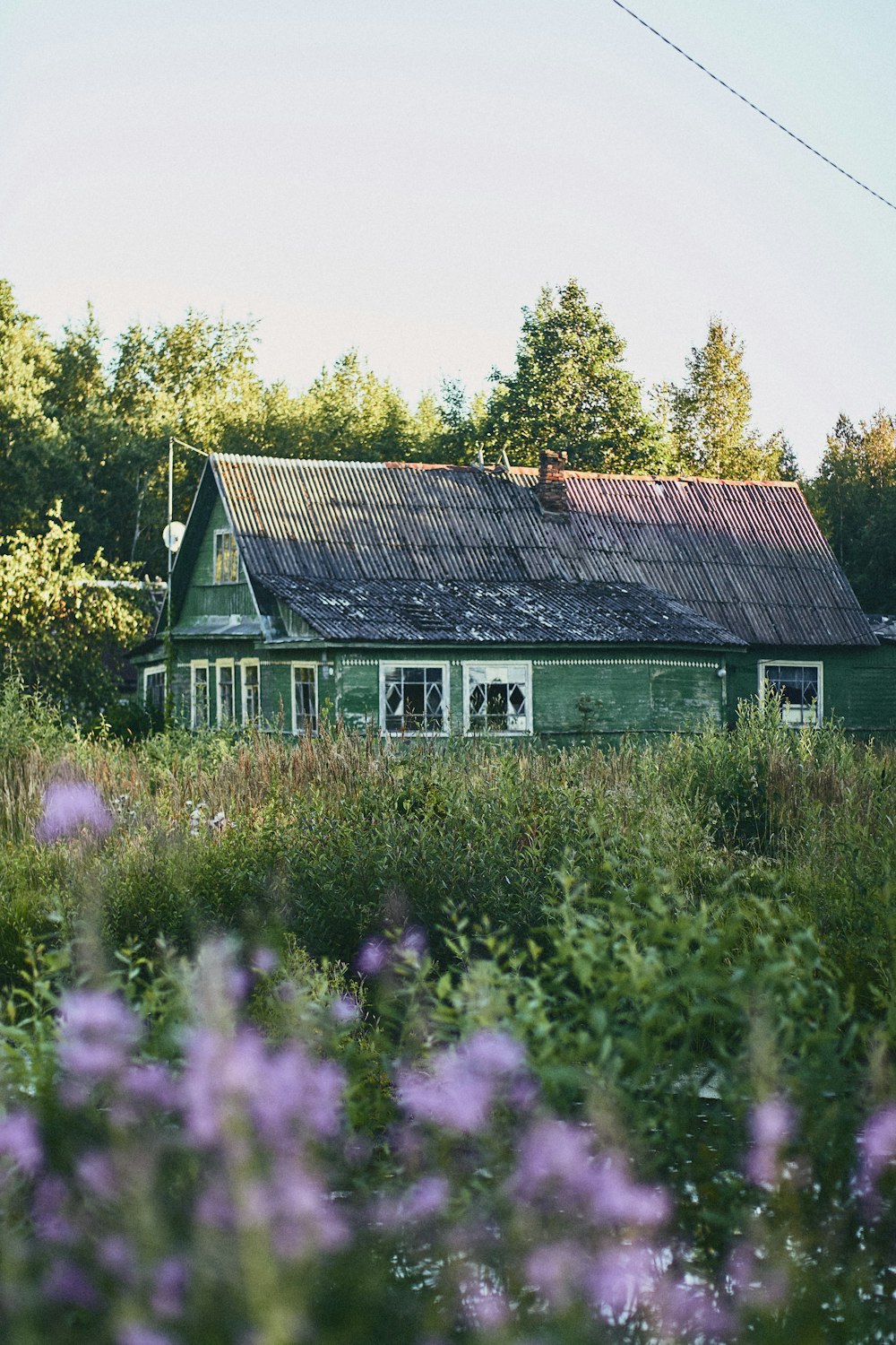 a house with a green roof surrounded by flowers