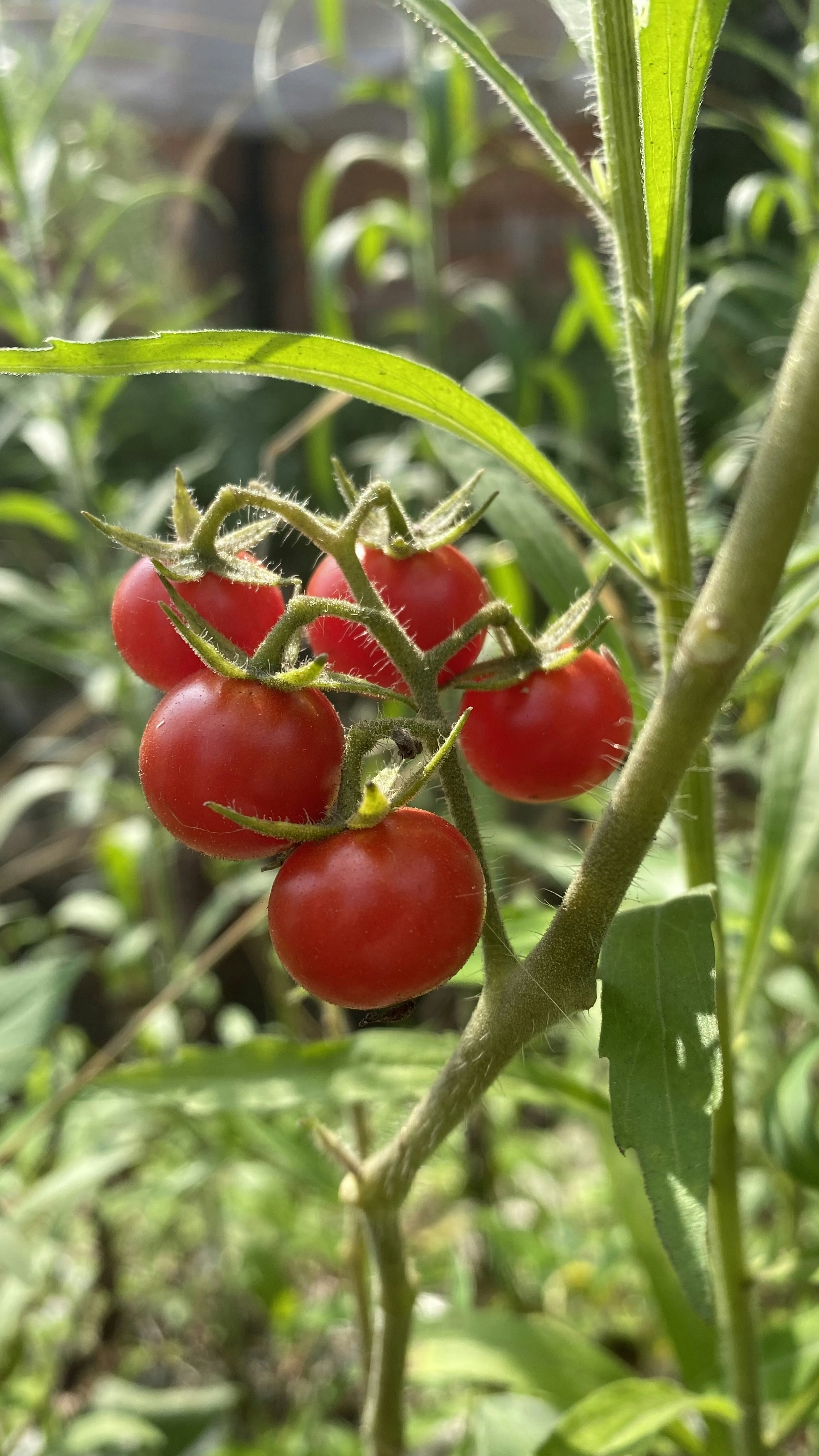 Photo by thallasophile