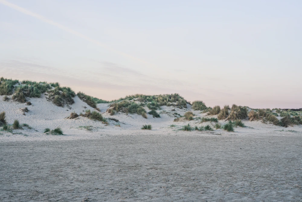 Dutch coast and Leiden school science field trip — Naturalis Biodiversity Center and North Sea coastal fieldwork