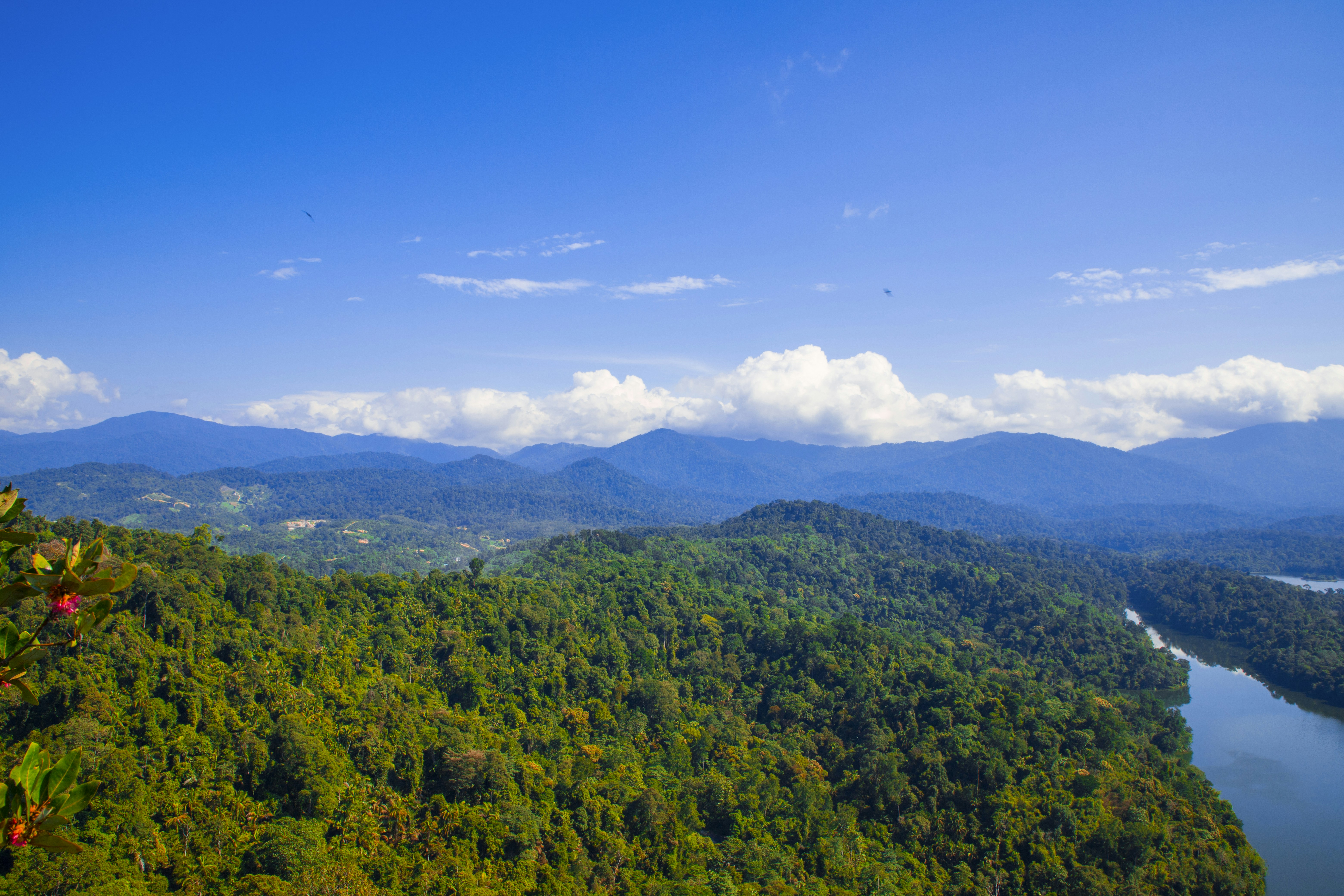 Photo by bahr_splash