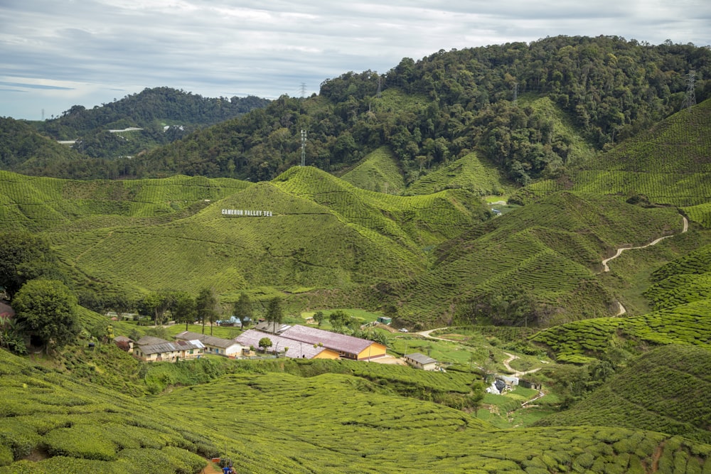 a green valley with houses and trees