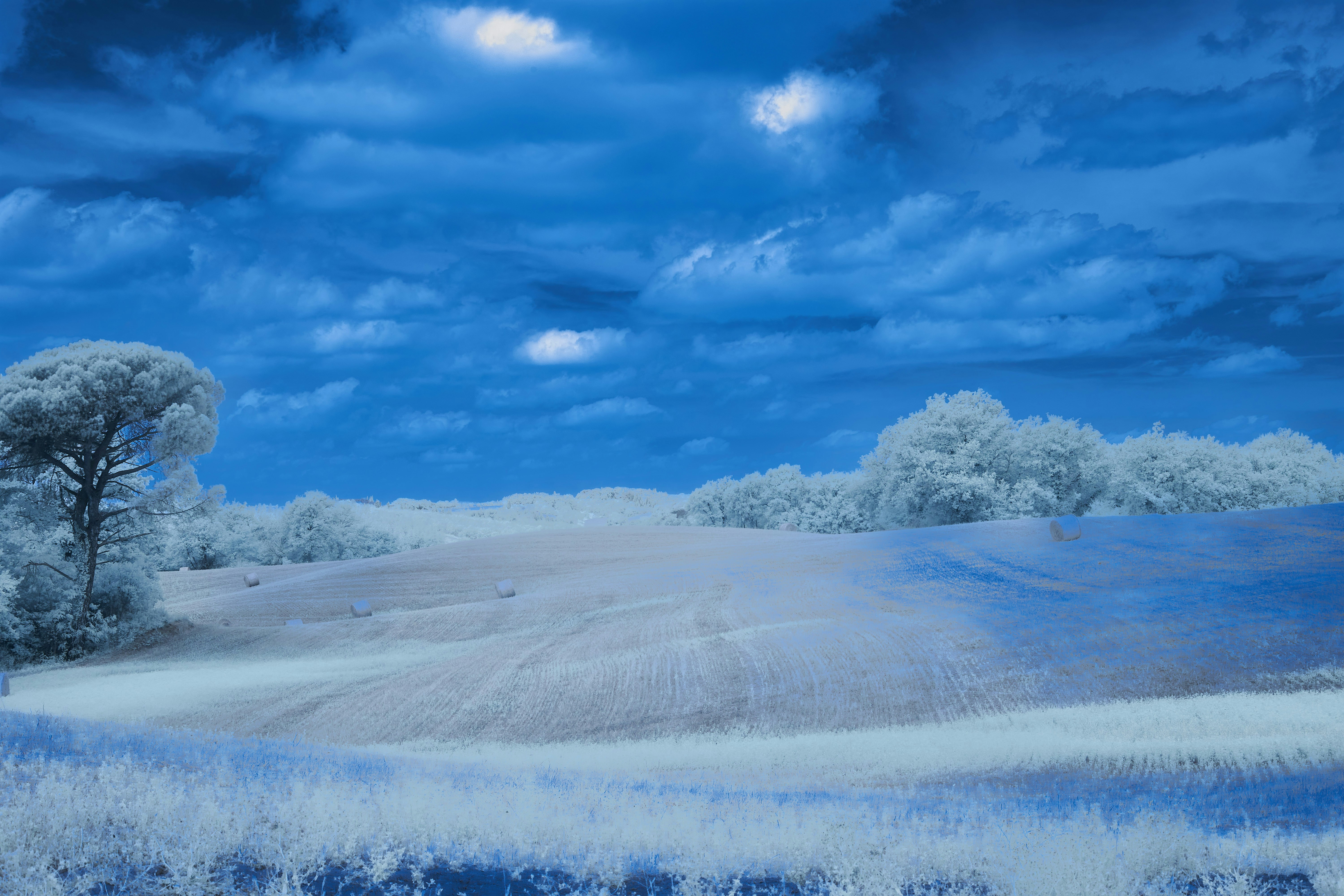 Photo by wolfgang_hasselmann