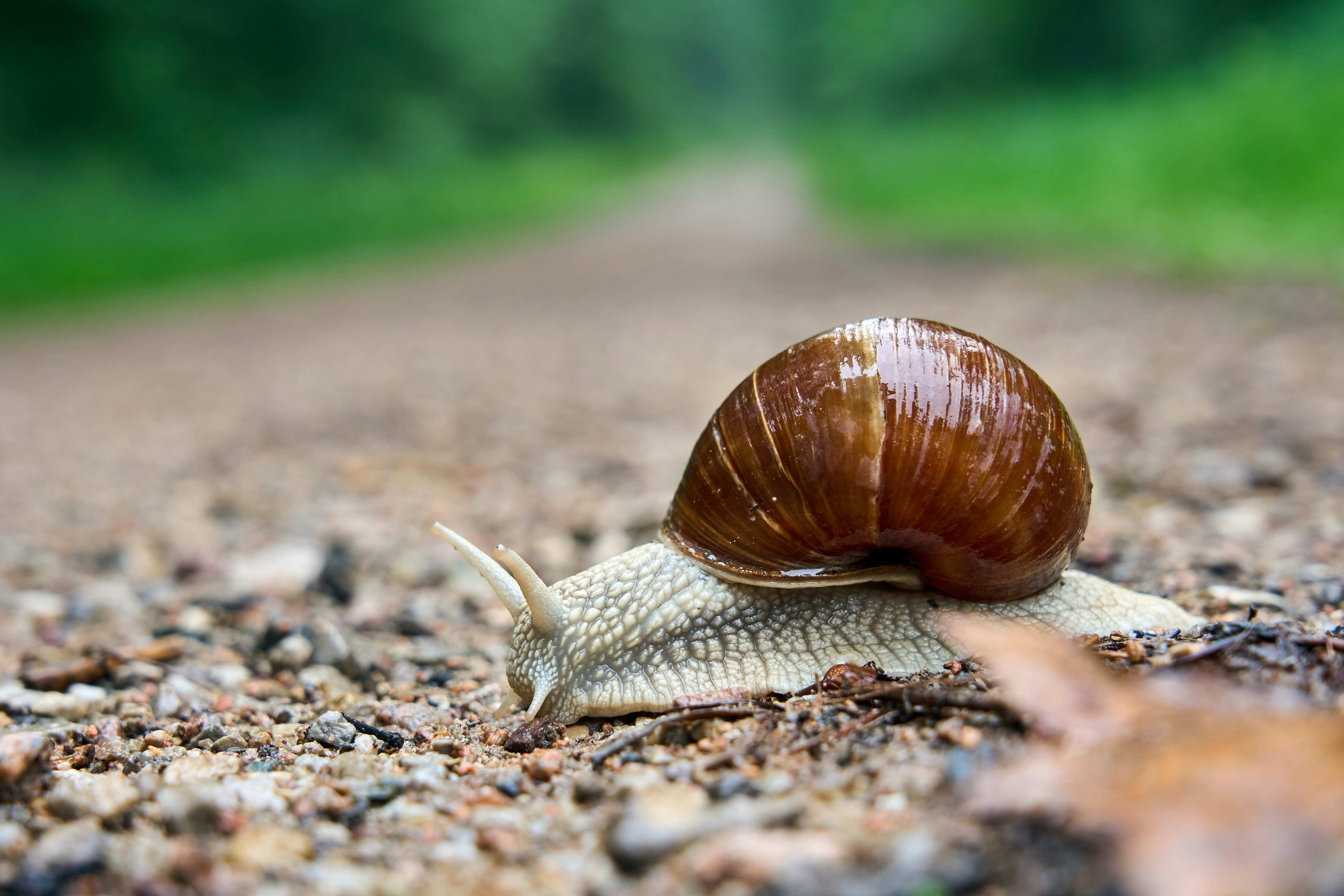 Photo by wolfgang_hasselmann