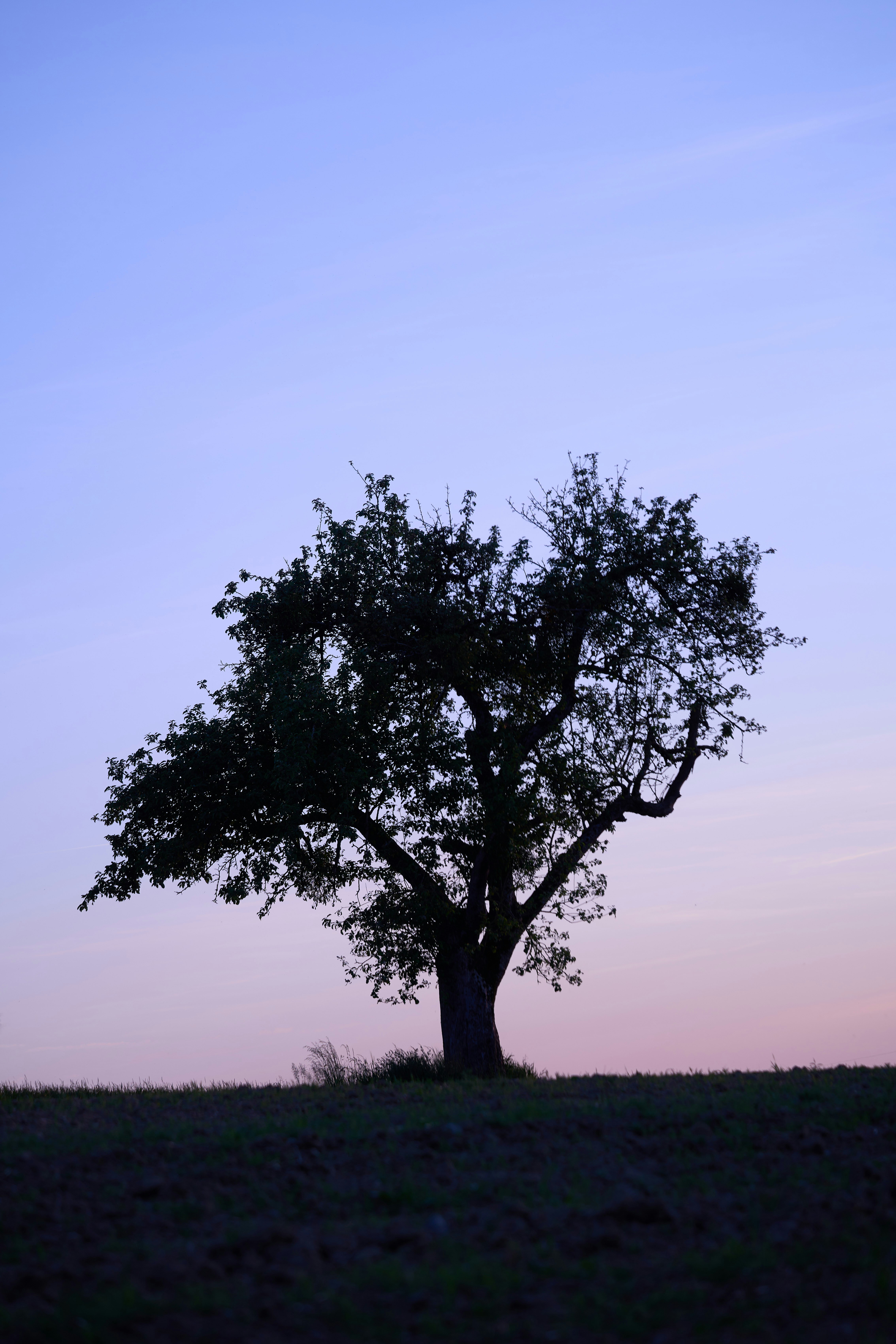 Photo by wolfgang_hasselmann