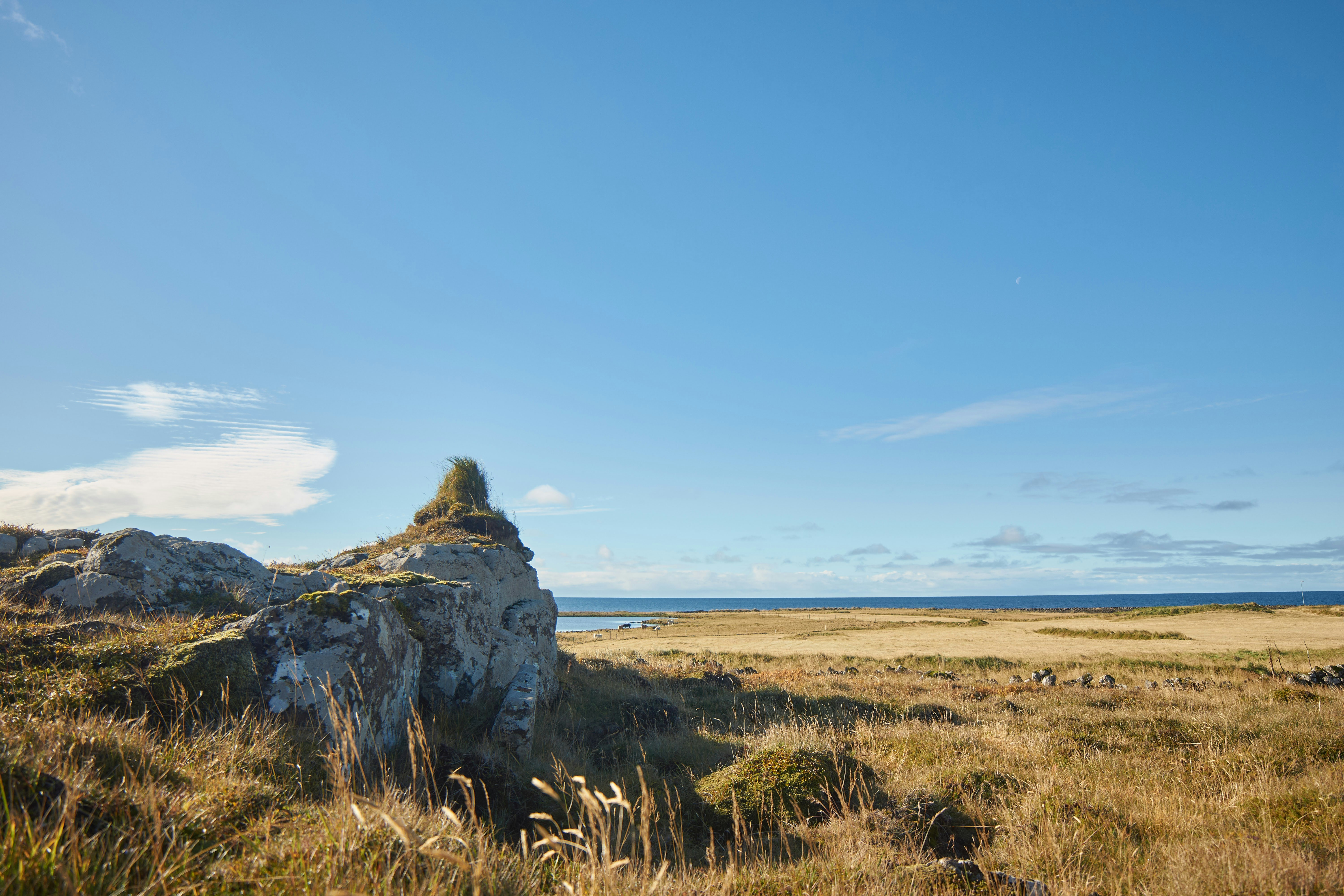 Photo by wolfgang_hasselmann