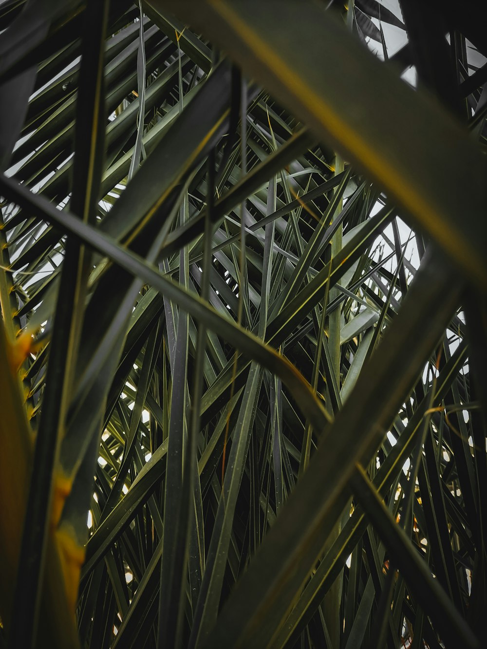 a close up of a ferris wheel