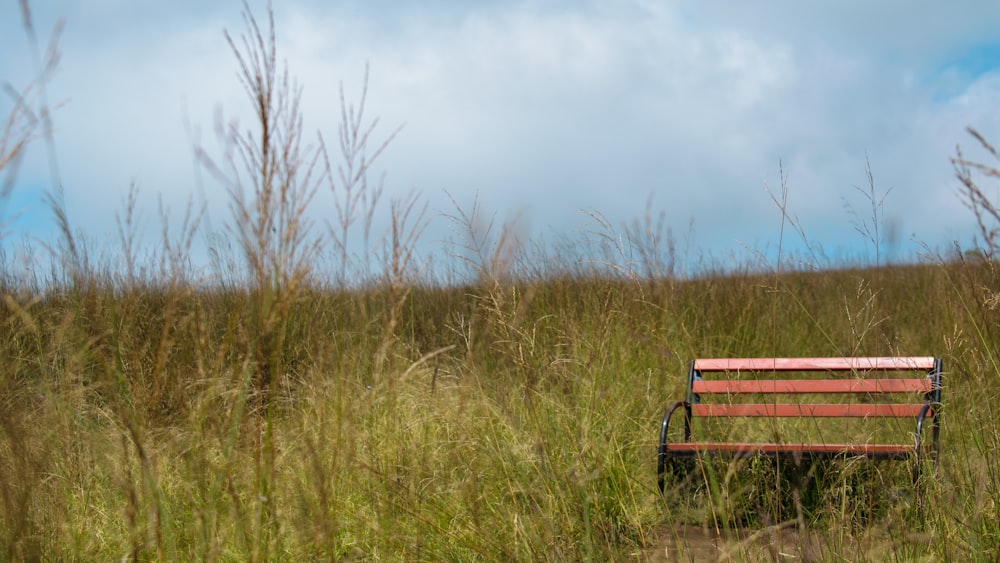 a bench in a field