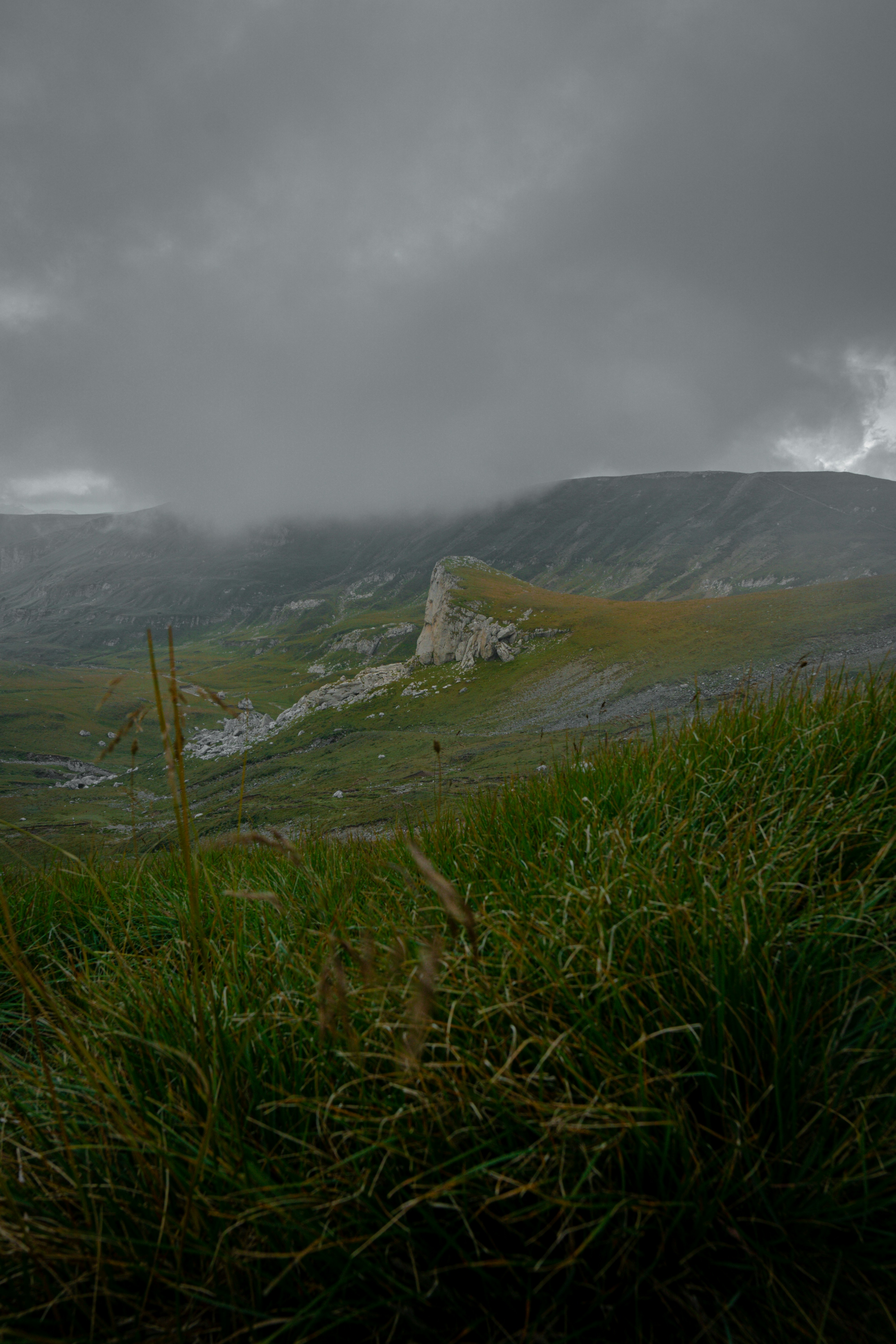 Photo by androwv