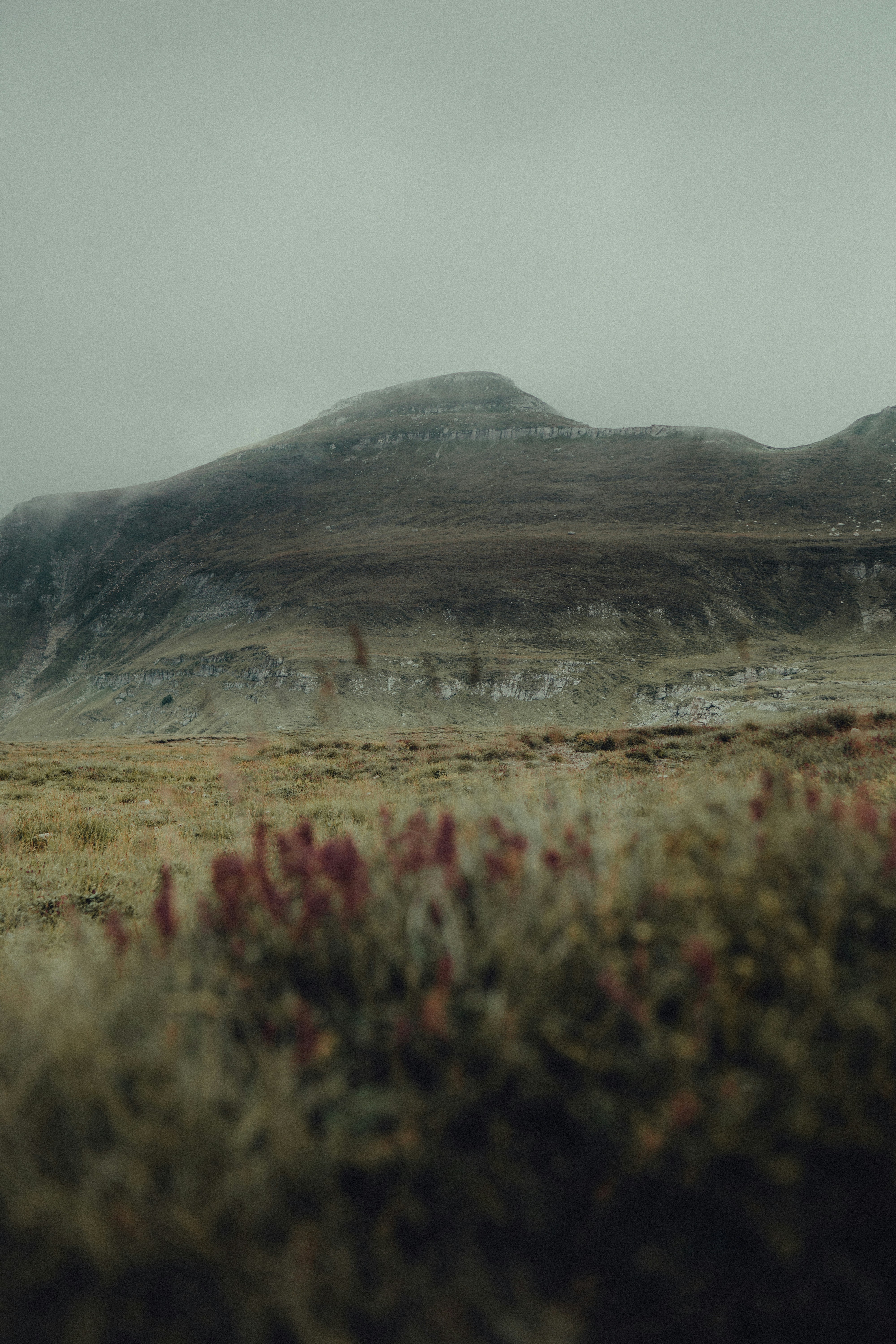 Photo by androwv
