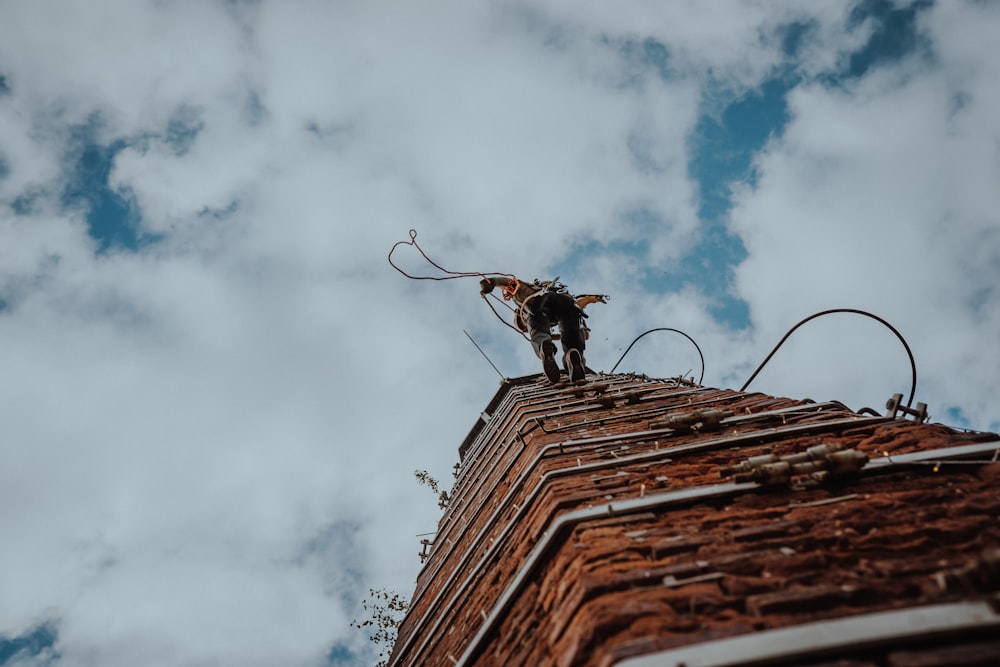 a bee on a roof