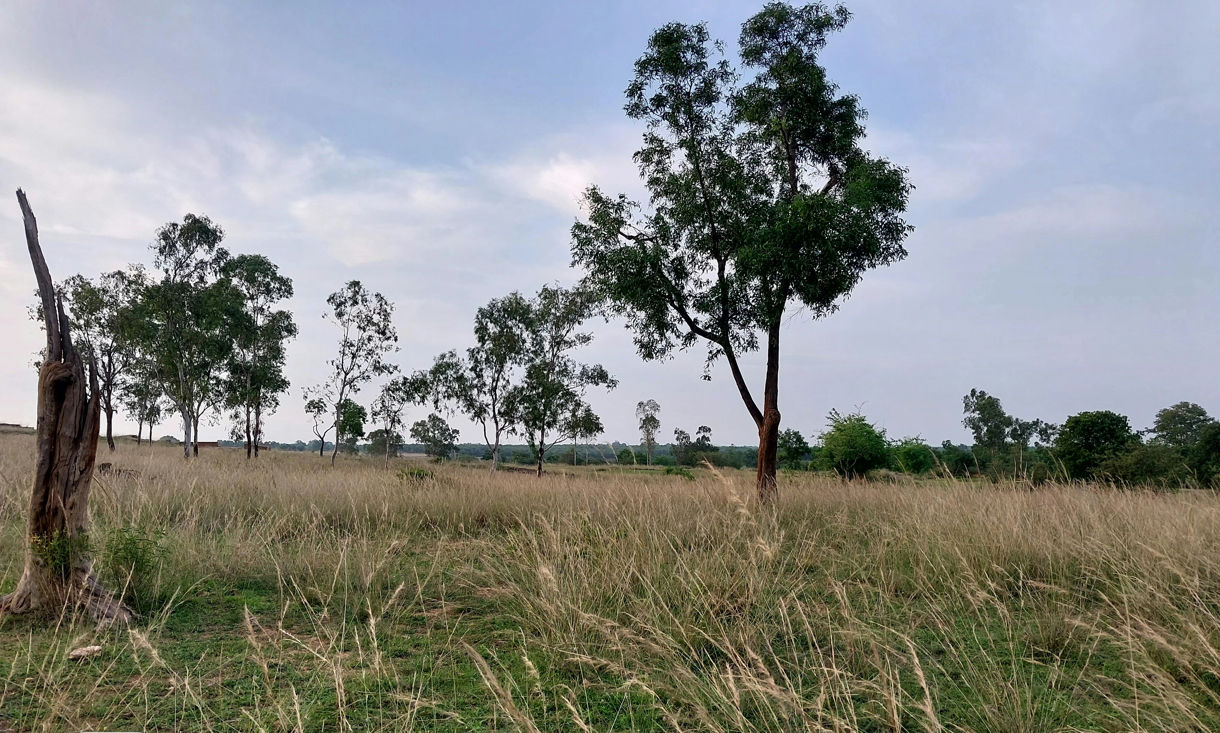 Photo by therainbowman