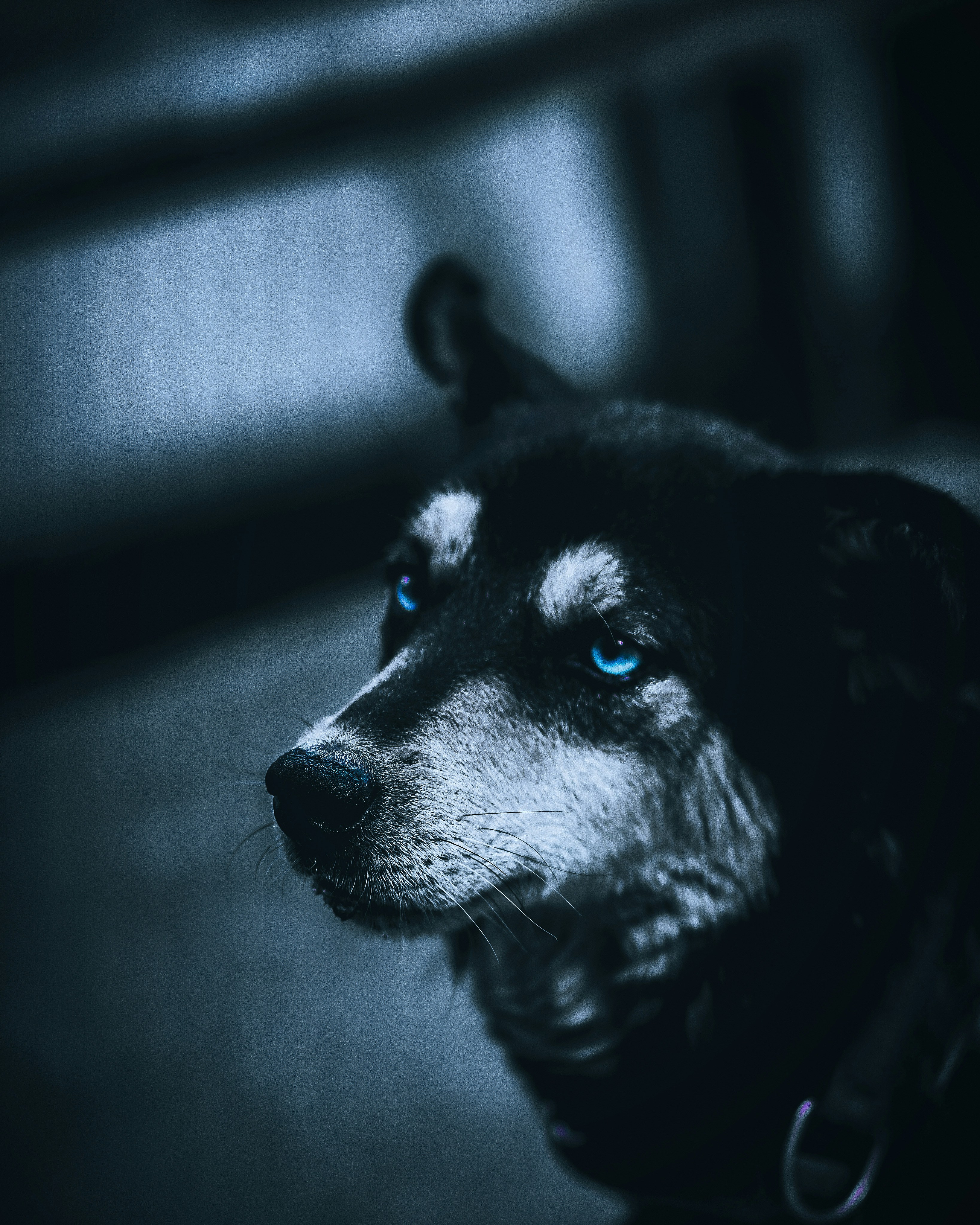 Photo by w1z4rdhere