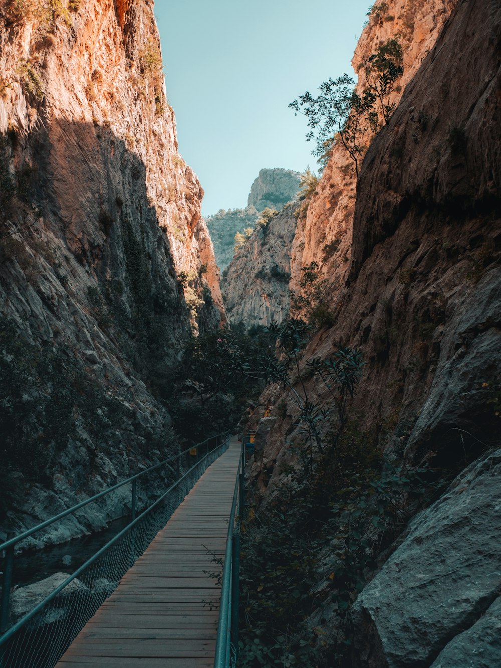 a bridge going through a canyon