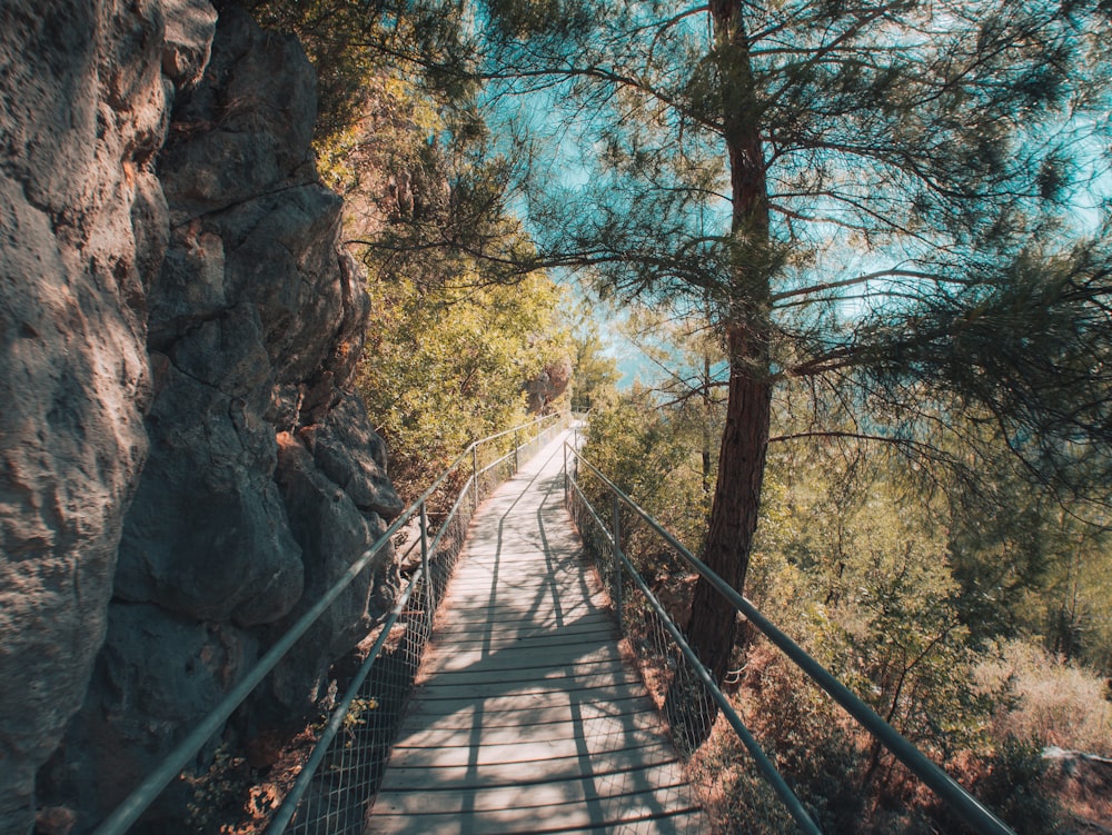 a wooden bridge between trees