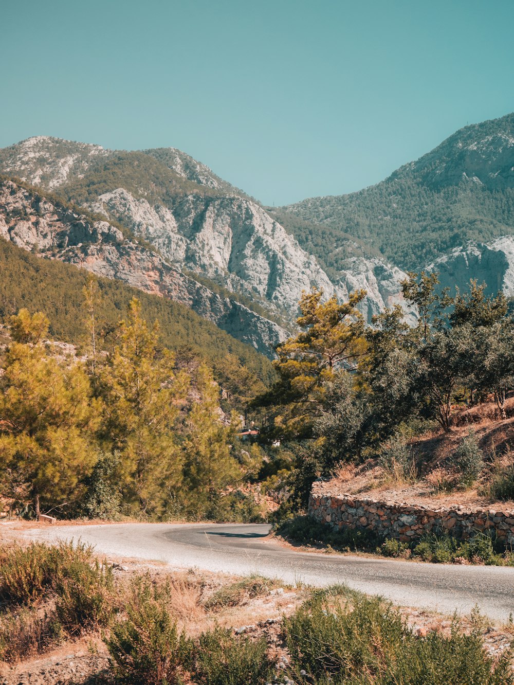 a road in the mountains