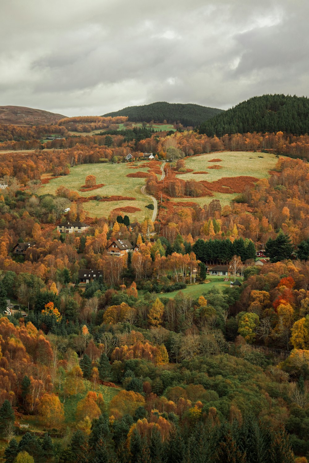 a landscape with trees and houses