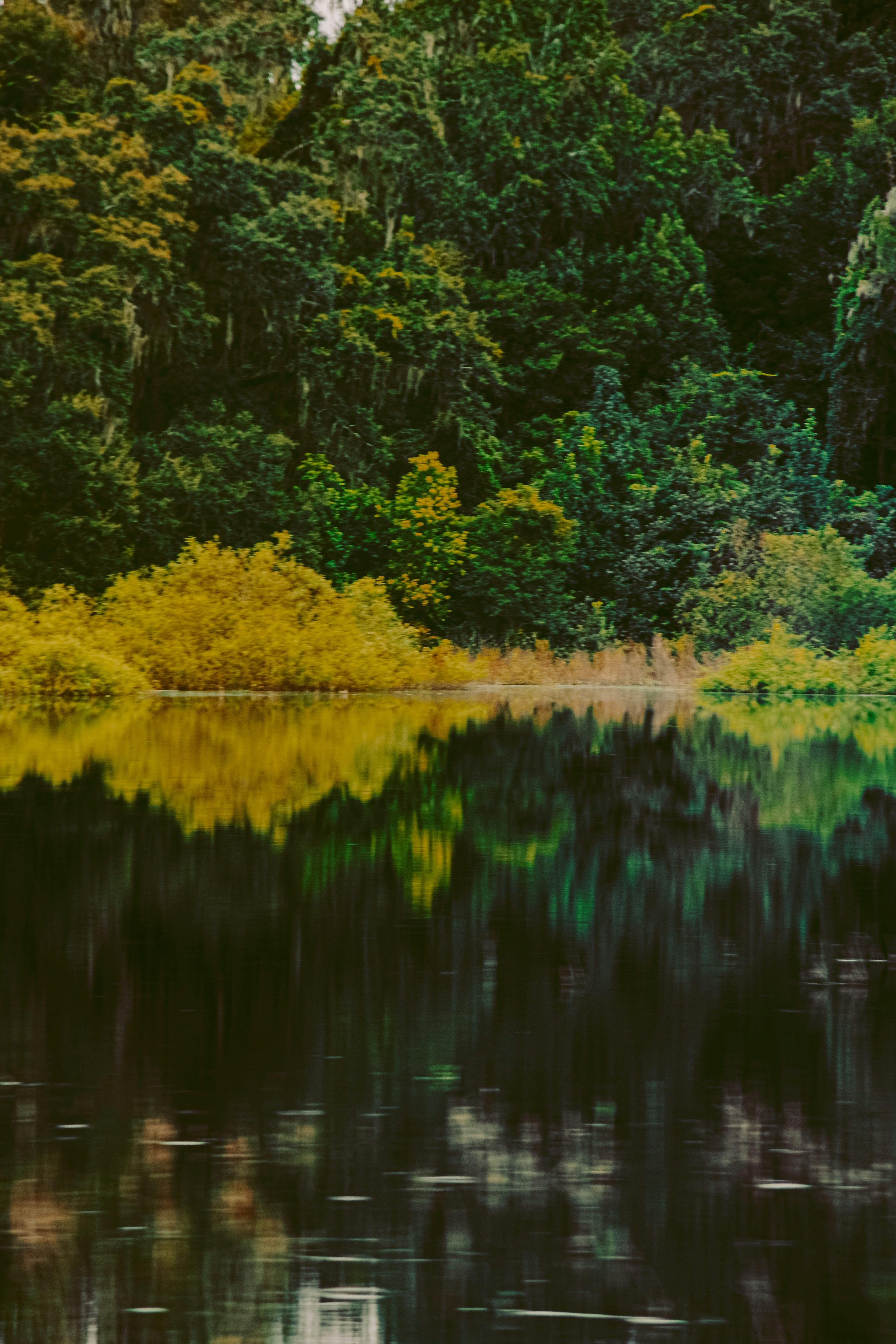 Photo by ieshia_mitchell