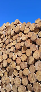 Stacked timber planks of various types neatly arranged in the Eldoret yard under a bright sky.