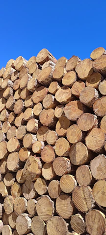 A vibrant biomass storage yard at Cleve Leaze, Thornbury, with stacked bio pellets under a clear blue sky.