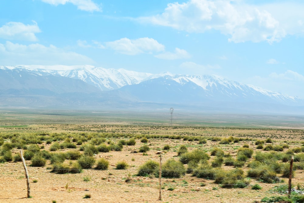 a desert landscape with mountains in the background