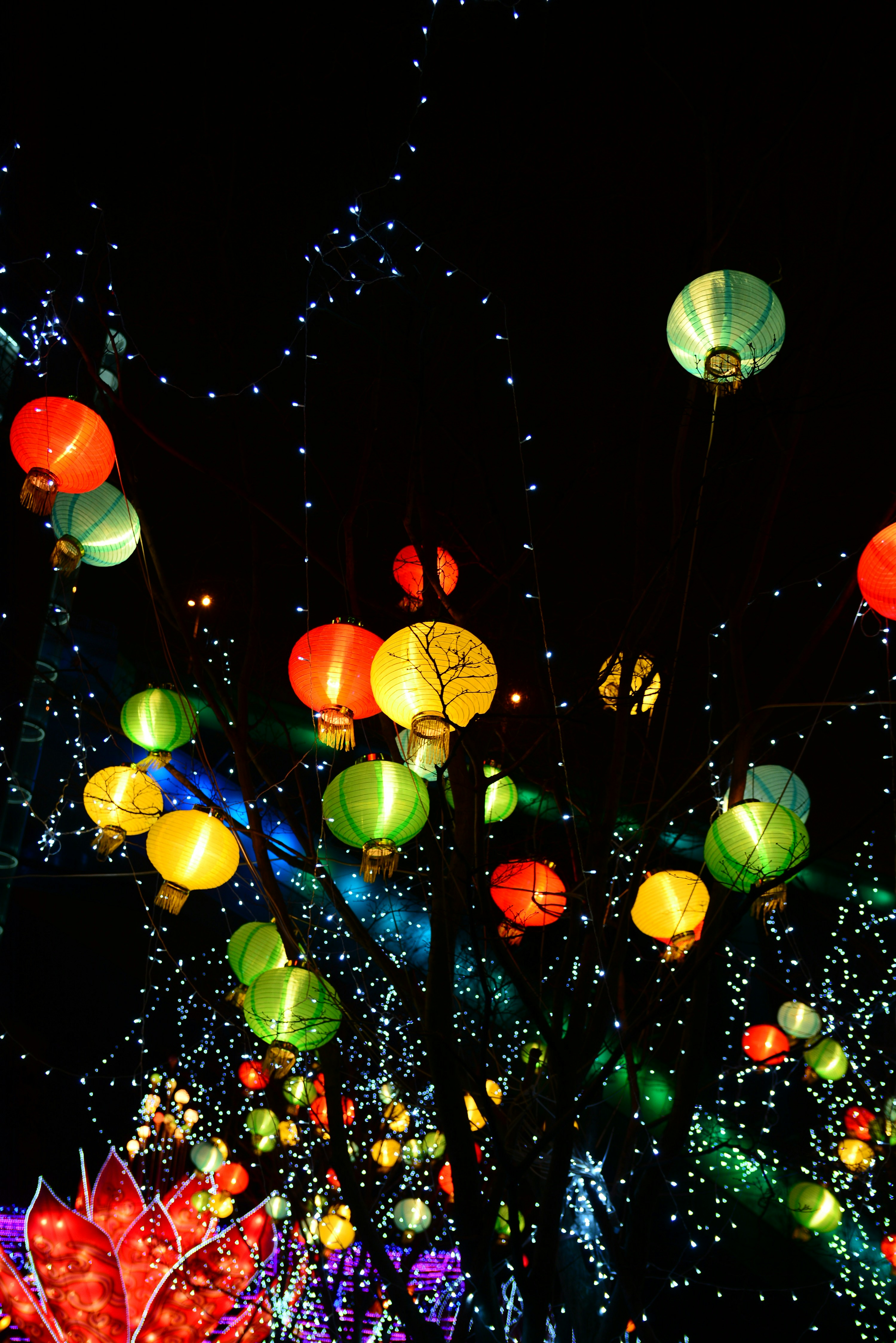 Photo by adriansiaril