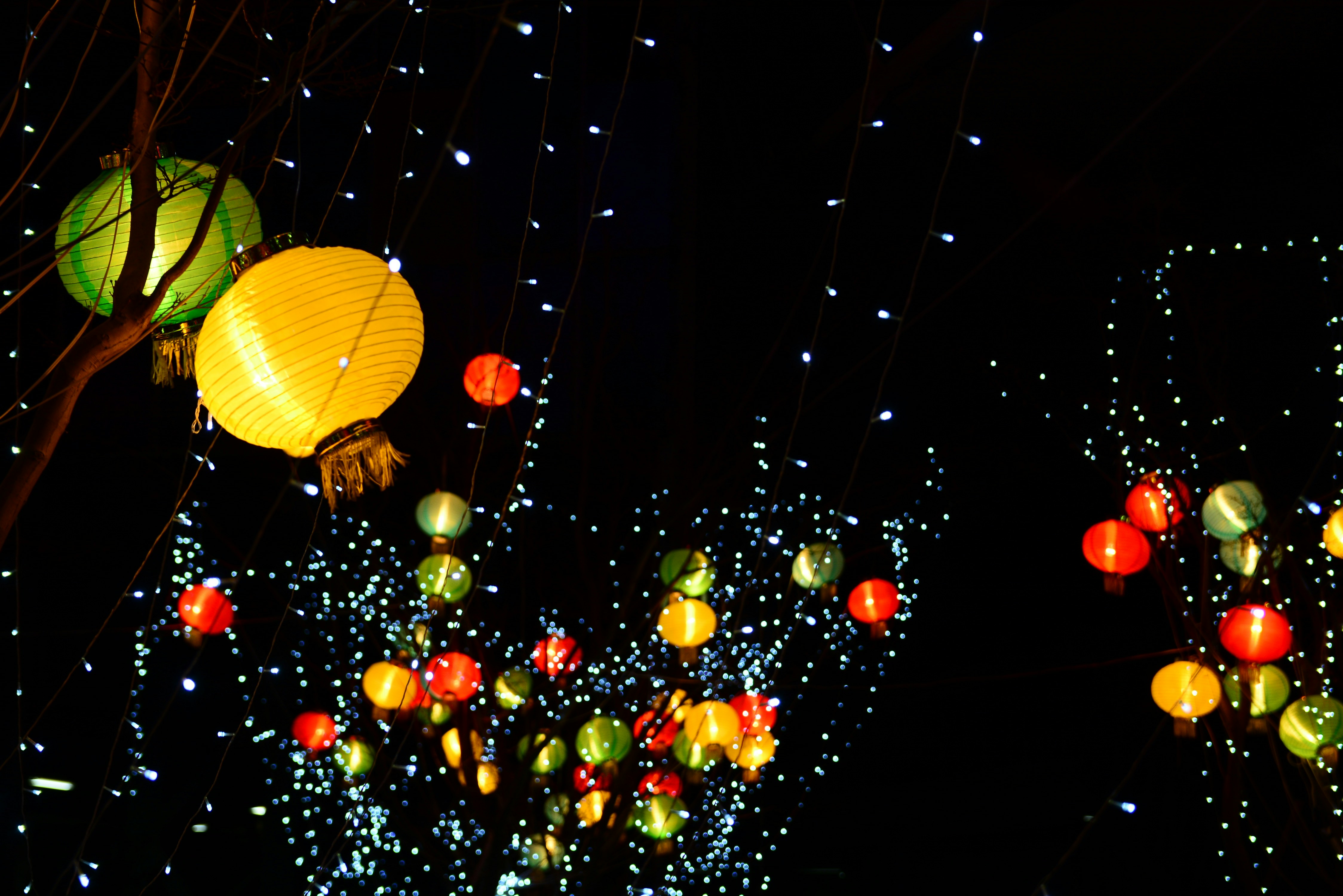 Photo by adriansiaril