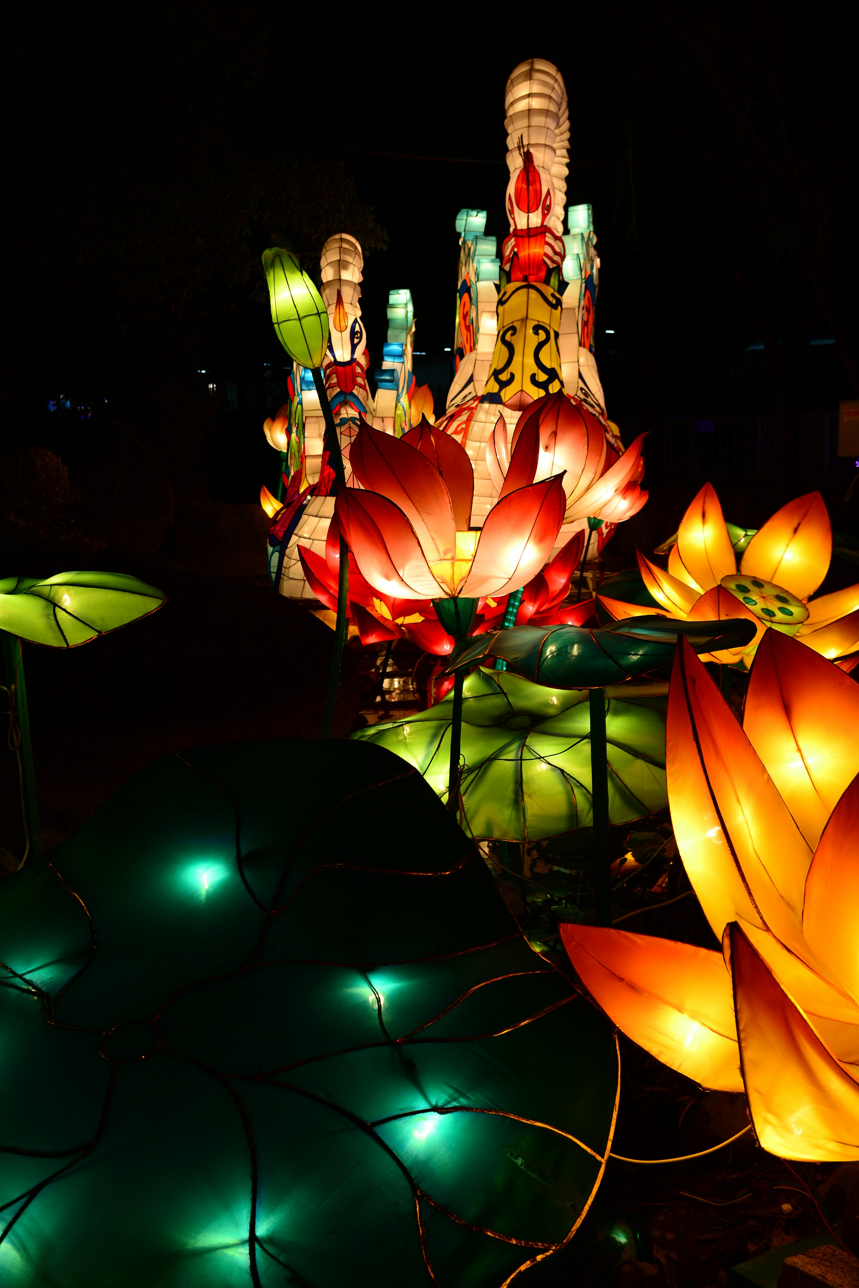 Photo by adriansiaril