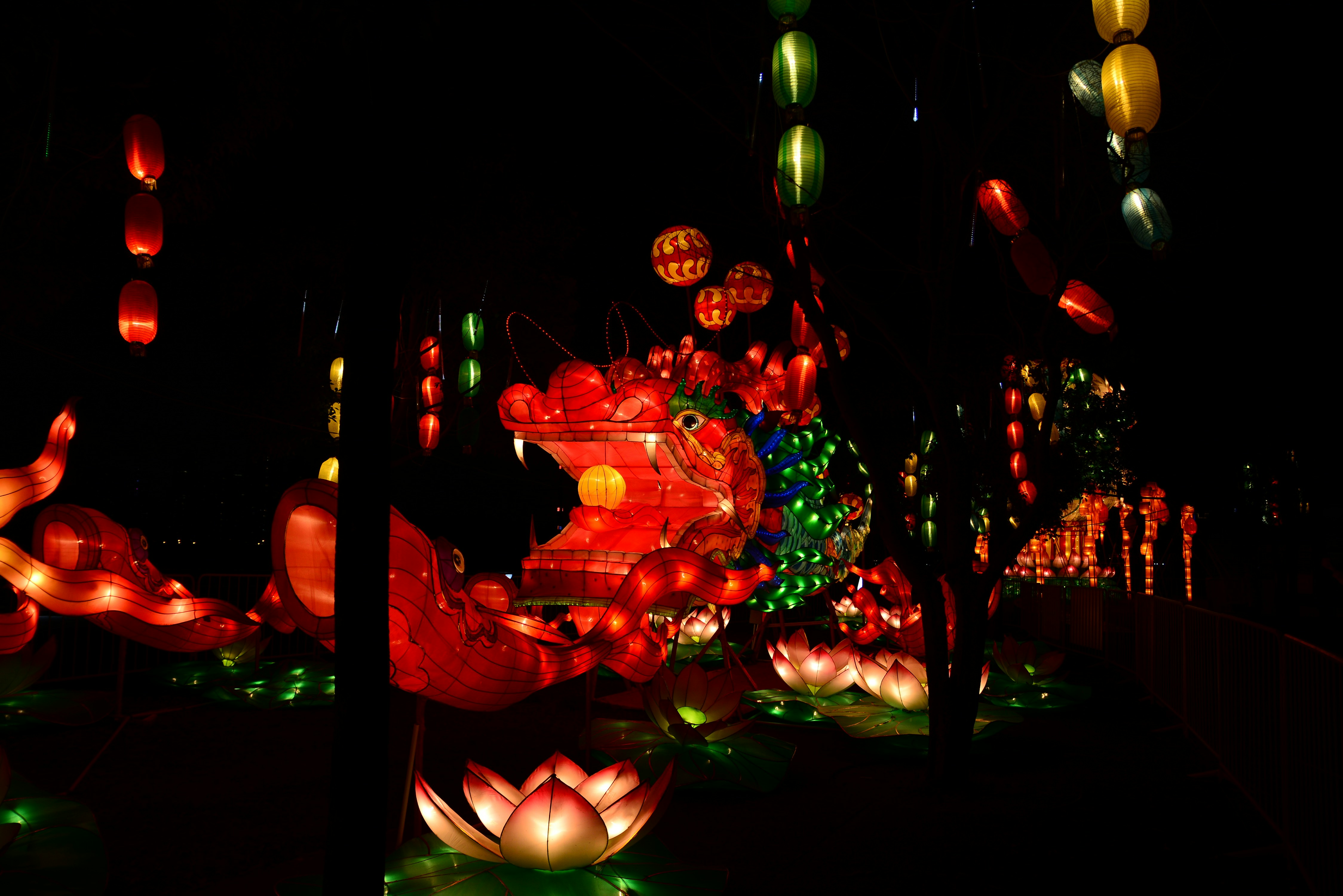 Photo by adriansiaril