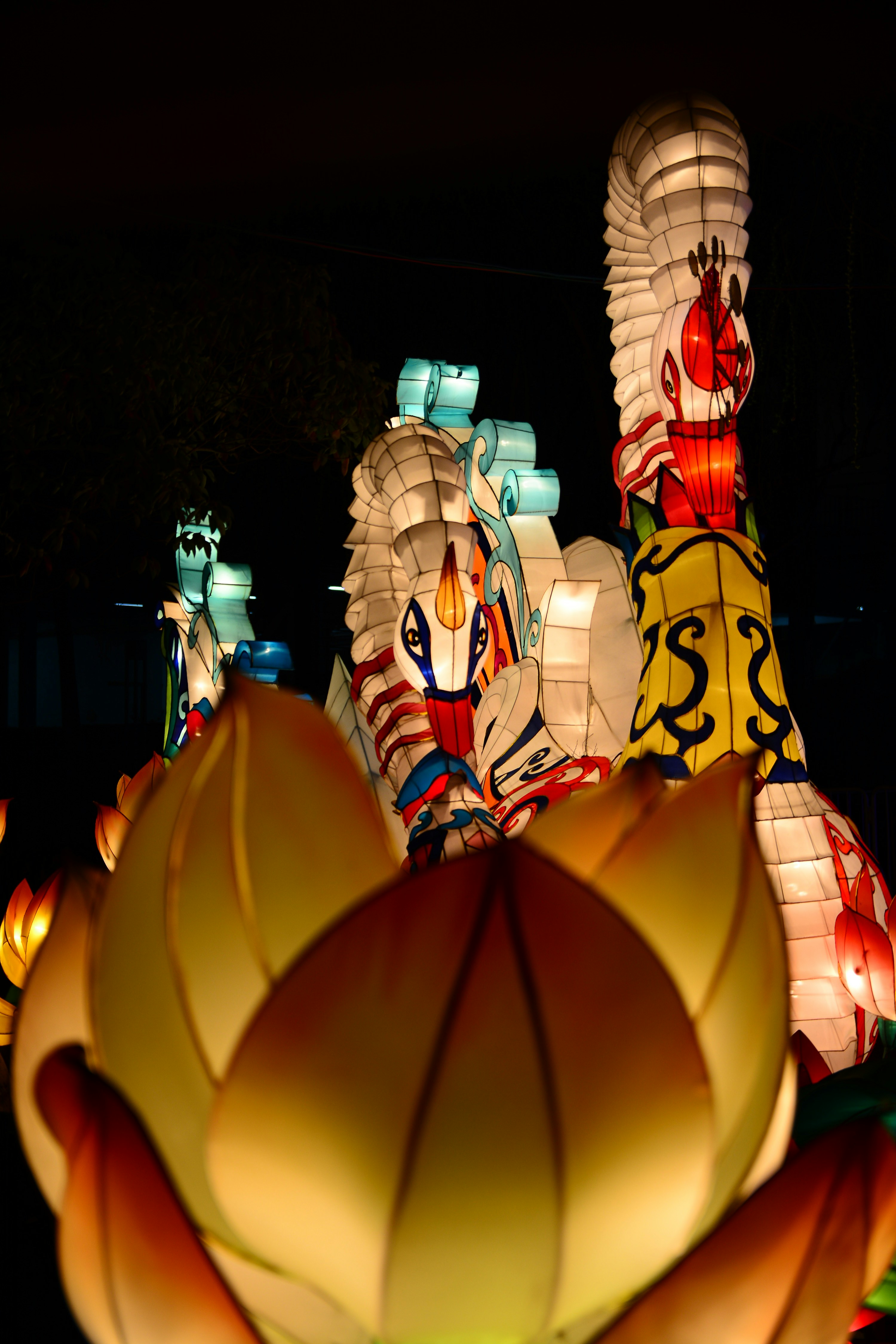 Photo by adriansiaril